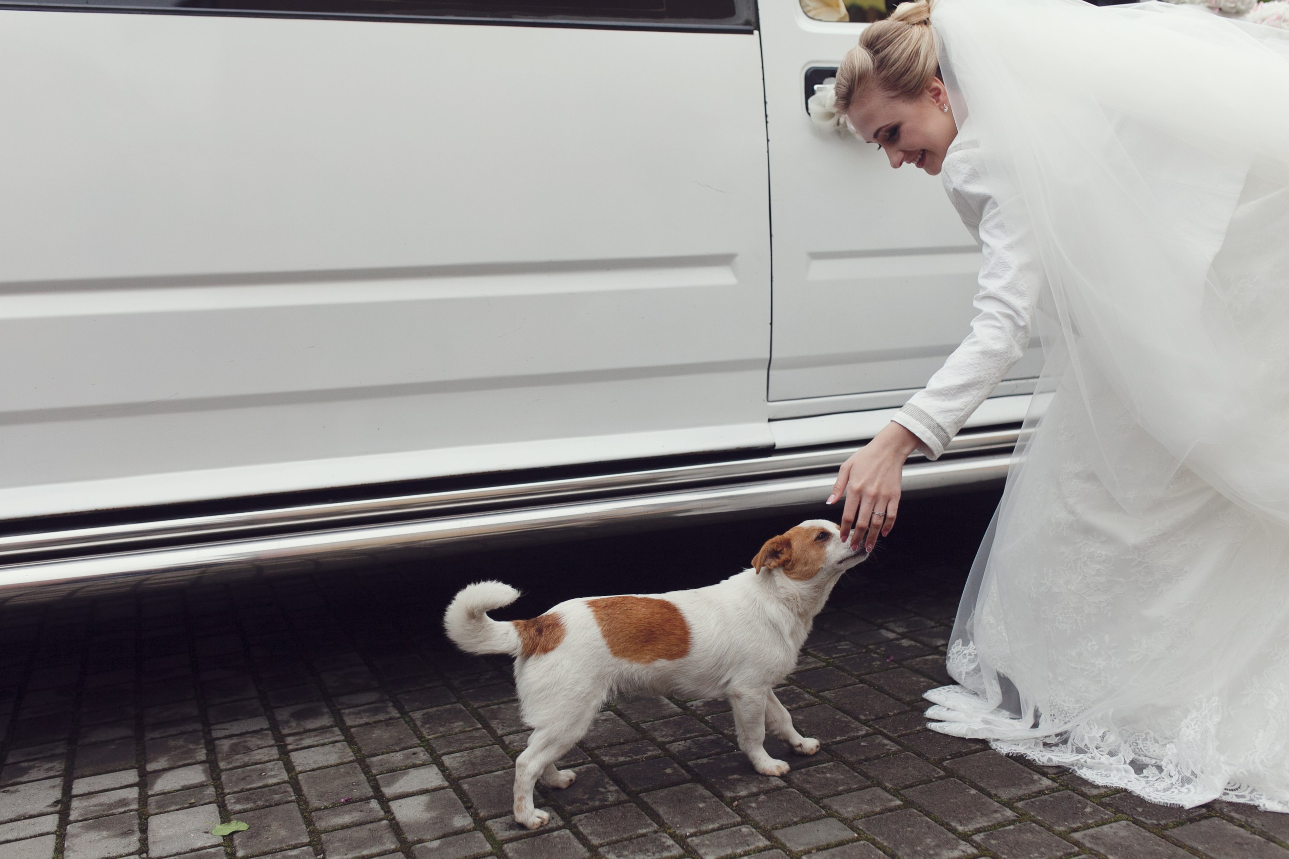 Robert & Andriana, Lviv. Denny Savon — Photographer in Santorini | Weddings, Love Stories & Flying Dress