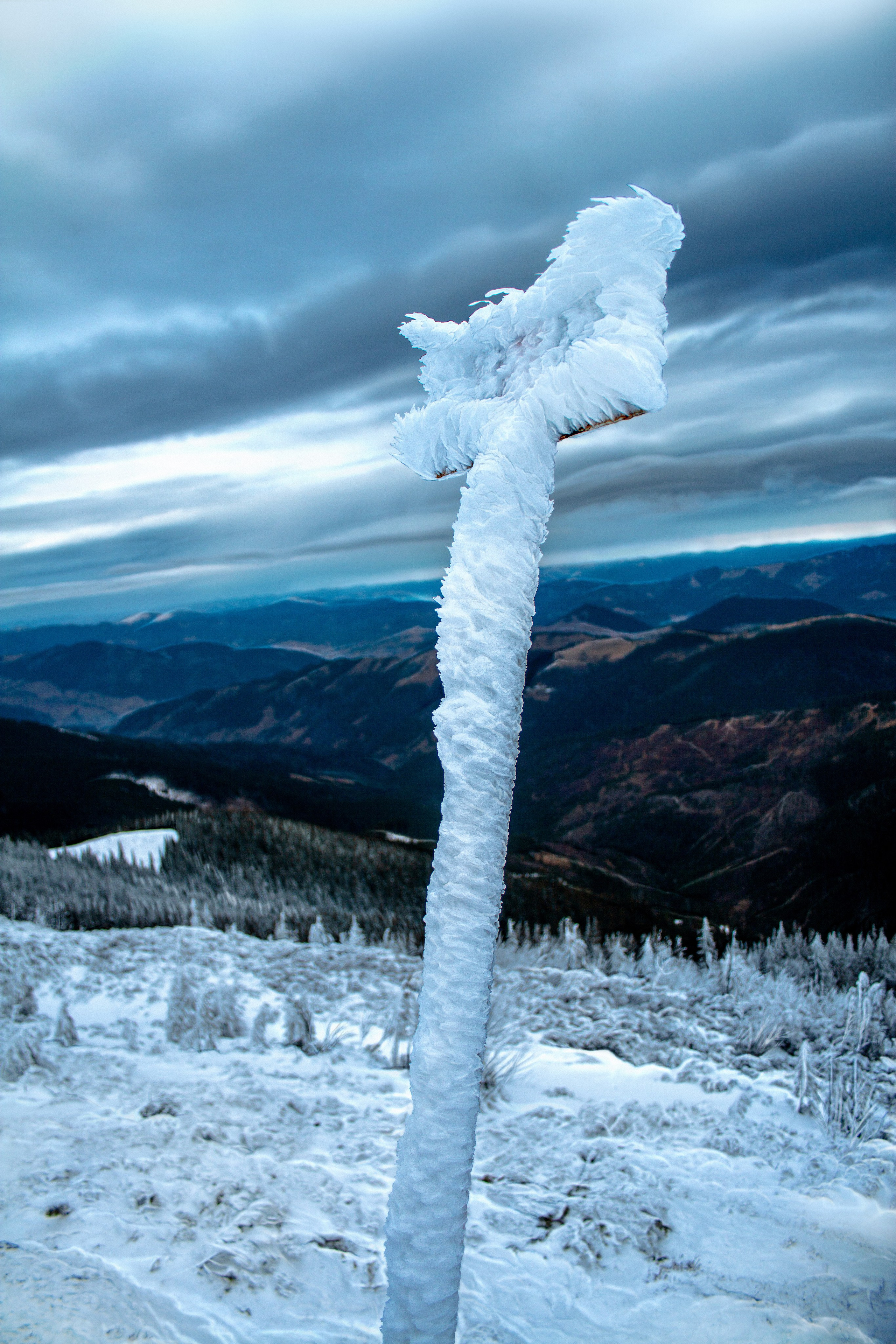 Mountain landscapes. Portrait and still life photographer. Designer, photographer, and illustrator