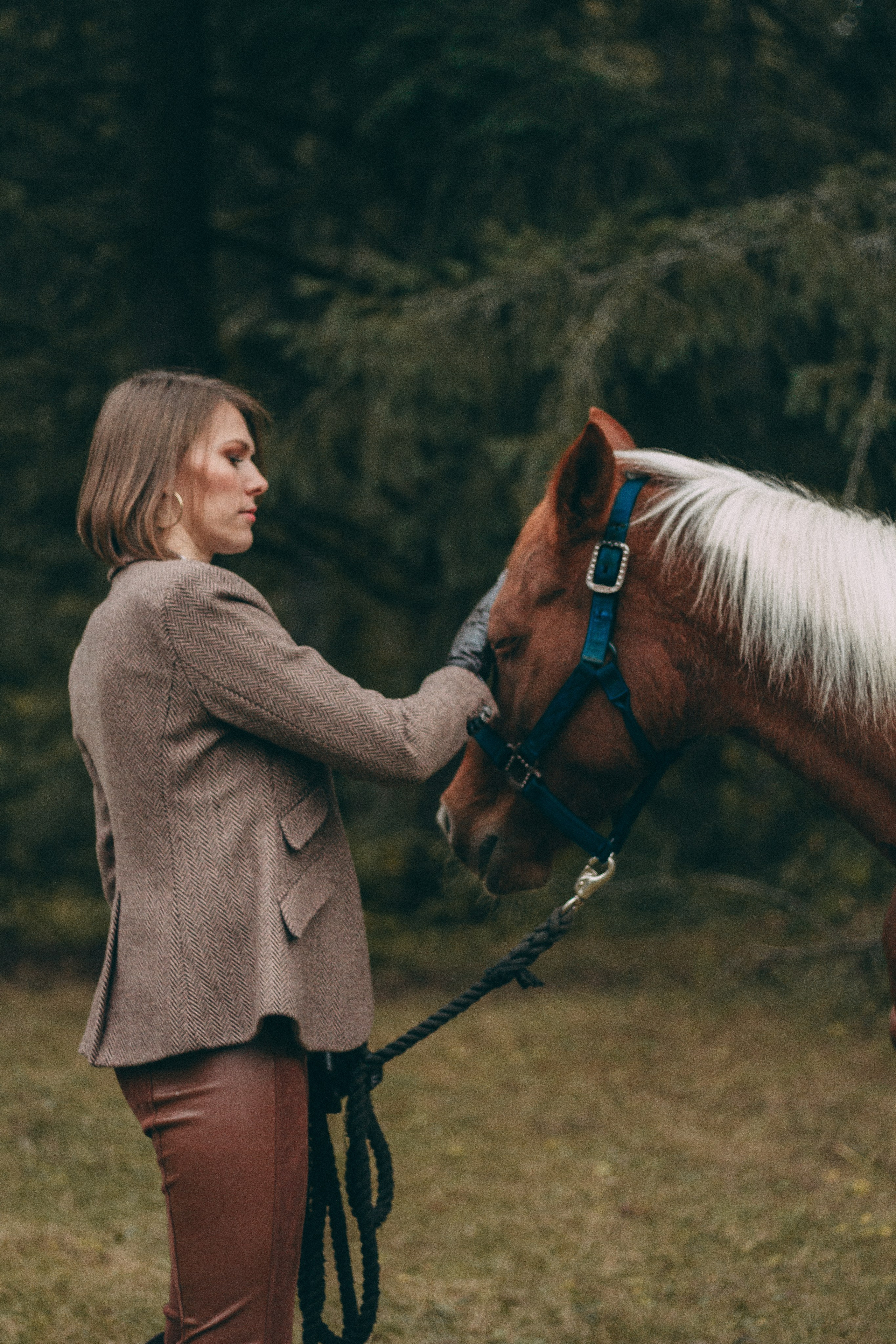 Horse. Family photographer in Vancouver WA Portland OR