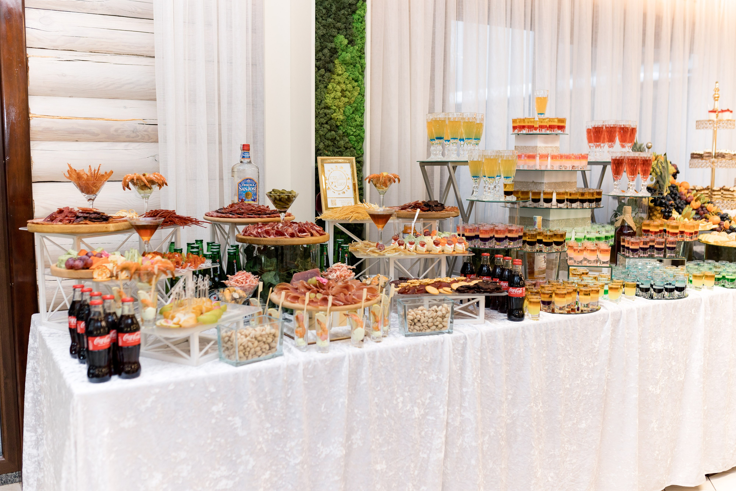 Аліна та Віктор. Ірина Терещук