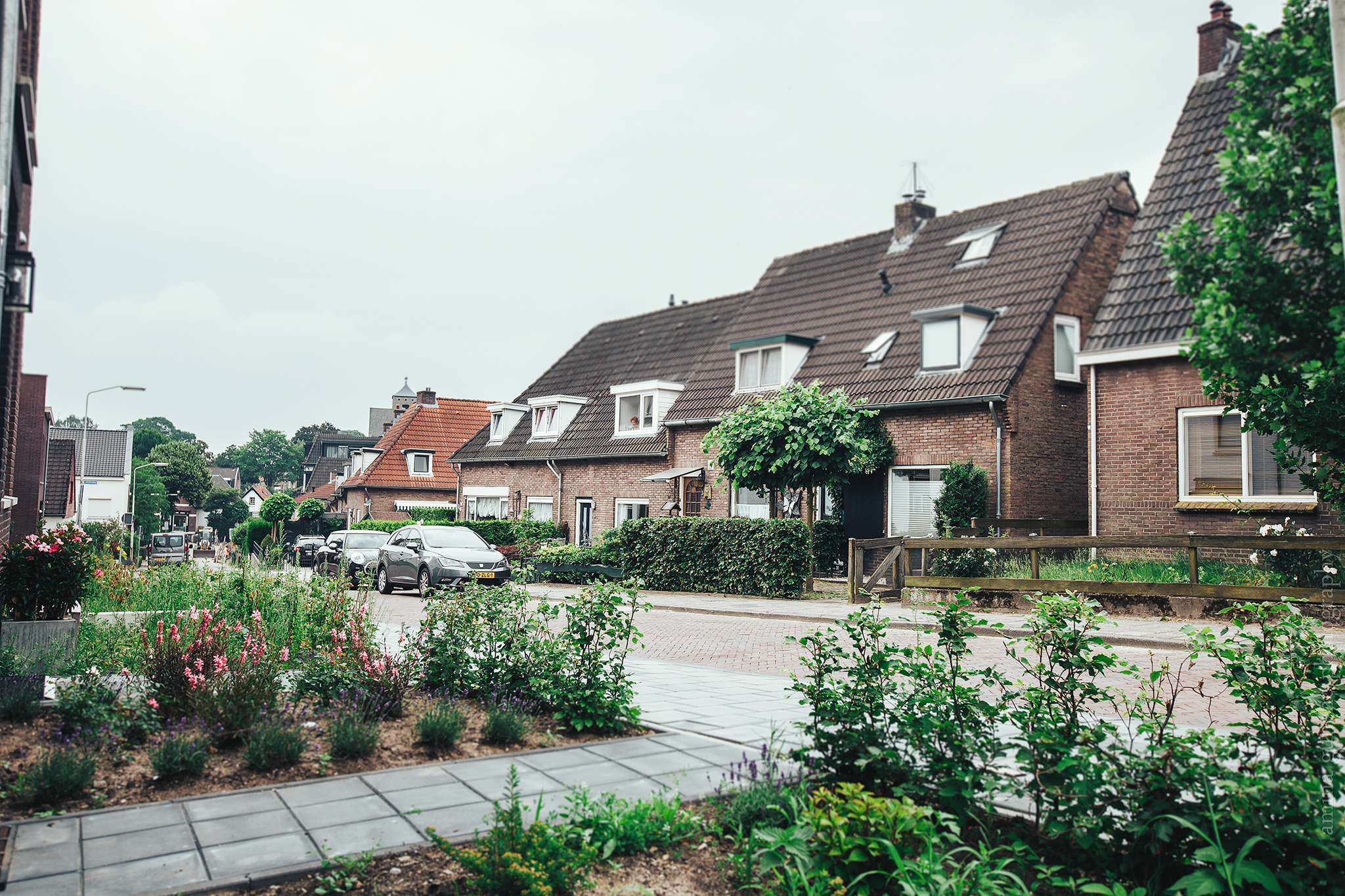 Cor & Irina. Wedding. Amina Gunenc - bruiloft- en familie fotograaf in Nederland
