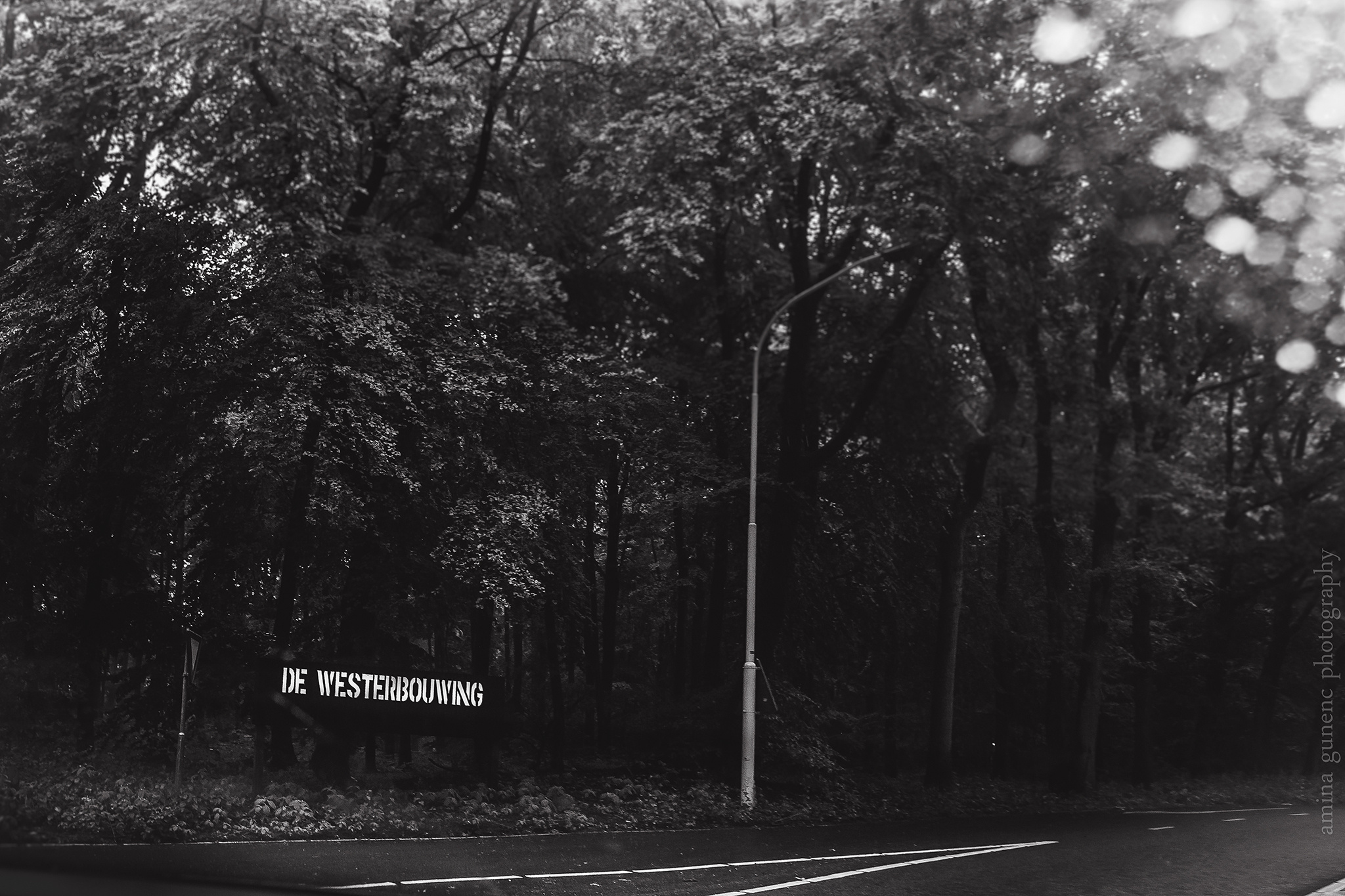 Cor & Irina. Wedding. Amina Gunenc - bruiloft- en familie fotograaf in Nederland