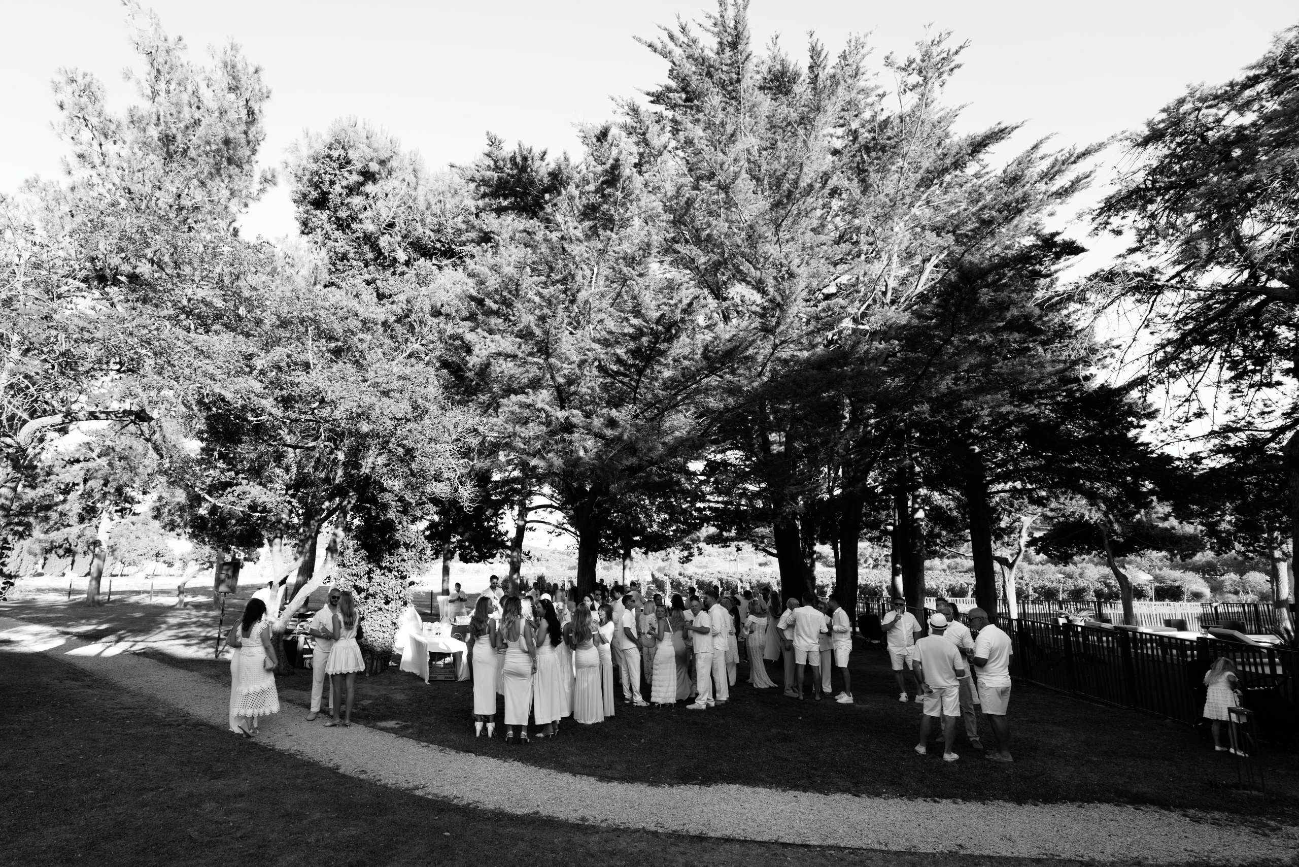 Welcome dinner at Château l’Hospitalet. Destination Wedding Photographer — Nikita Burtsev