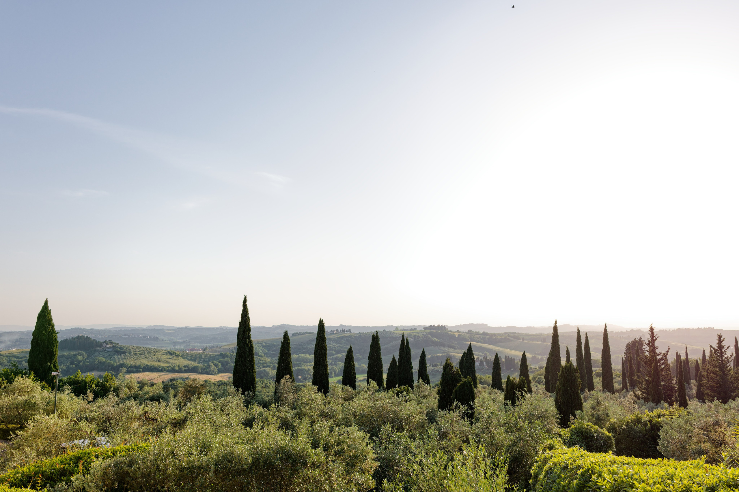 Wedding at Antica Fattoria di Paterno. Destination Wedding Photographer — Nikita Burtsev