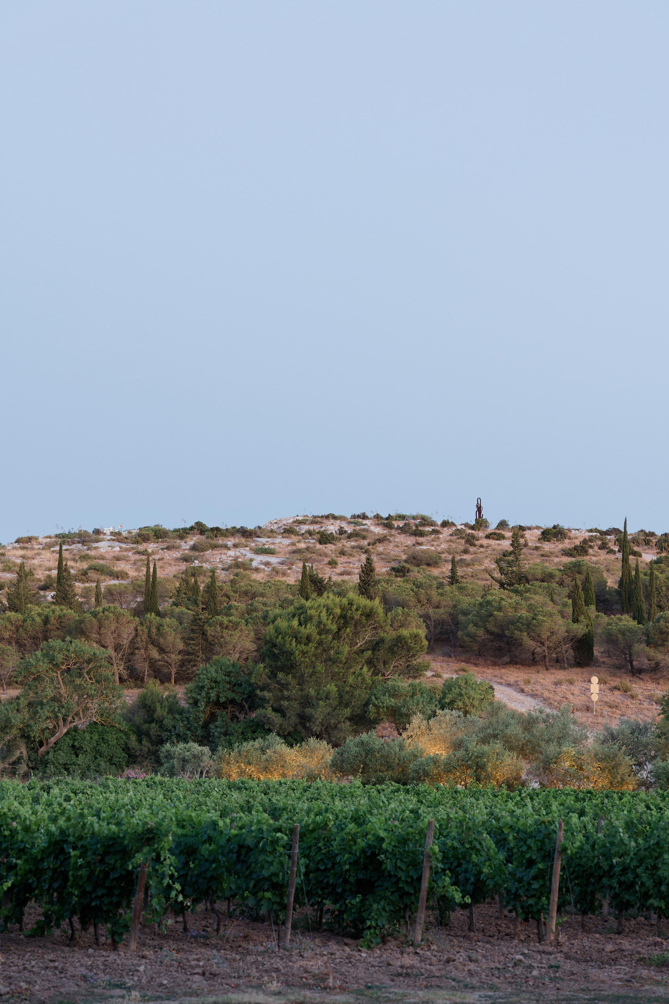 Welcome dinner at Château l’Hospitalet. Destination Wedding Photographer — Nikita Burtsev