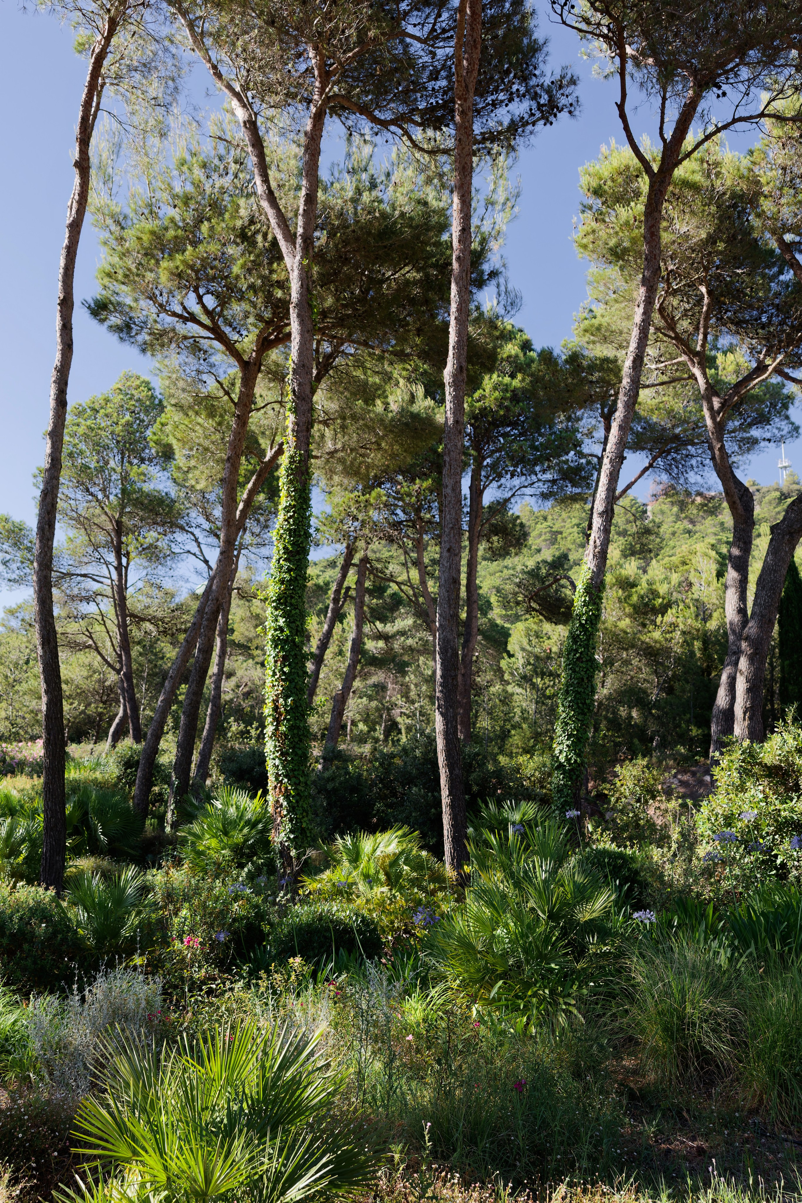 Welcome dinner at Château l’Hospitalet. Destination Wedding Photographer — Nikita Burtsev