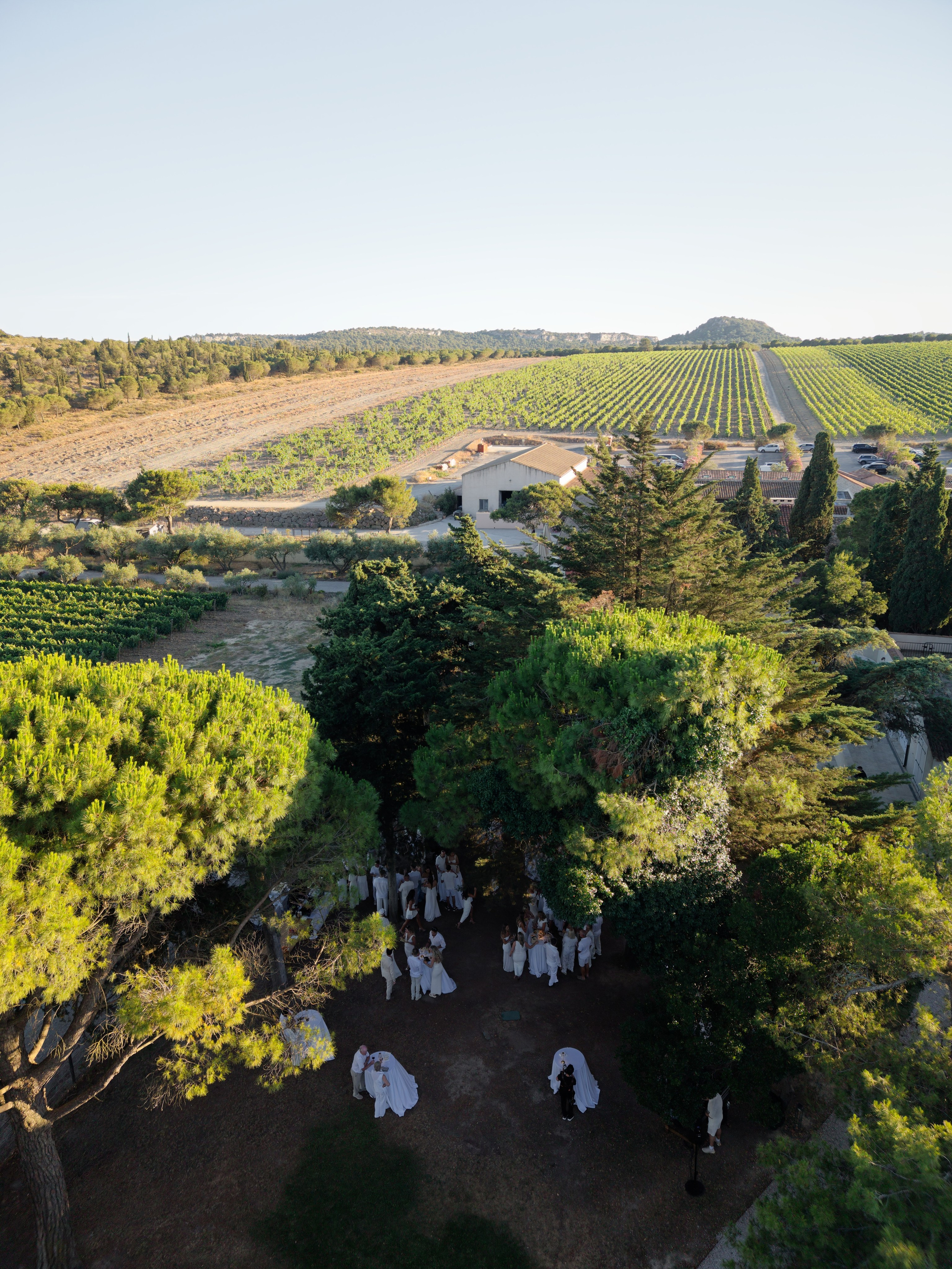 Welcome dinner at Château l’Hospitalet. Destination Wedding Photographer — Nikita Burtsev