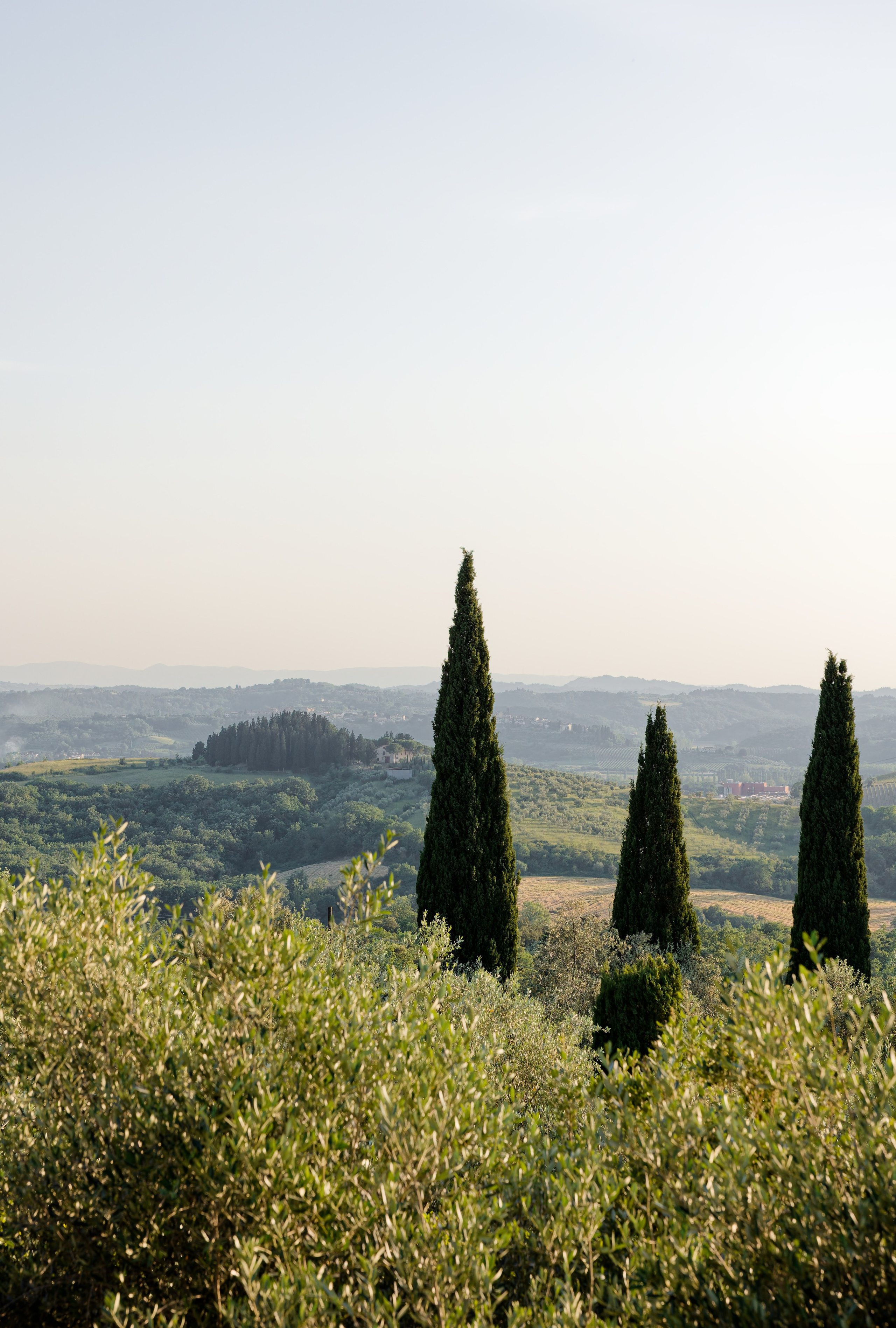 Wedding at Antica Fattoria di Paterno. Destination Wedding Photographer — Nikita Burtsev