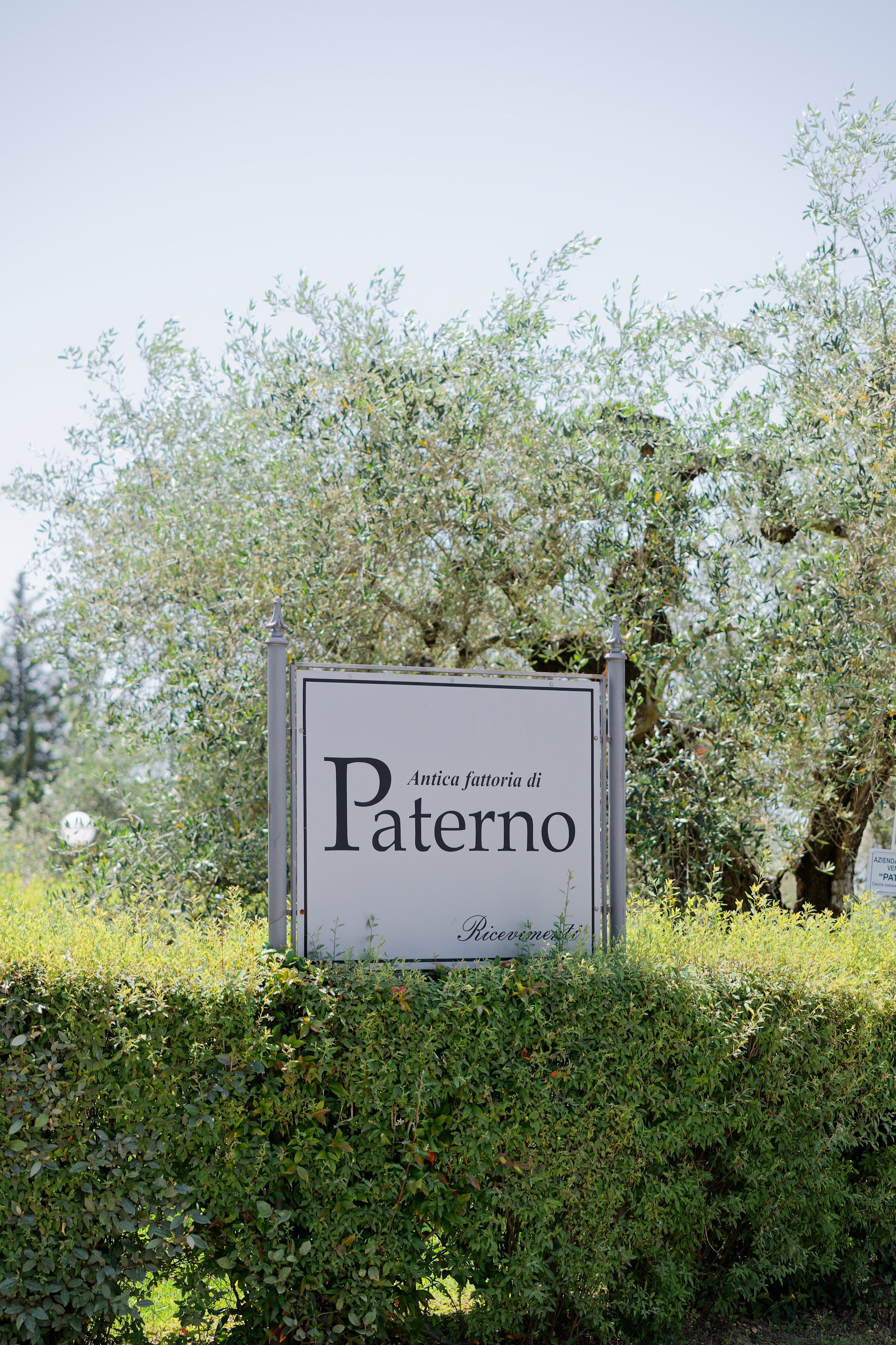Wedding at Antica Fattoria di Paterno. Destination Wedding Photographer — Nikita Burtsev