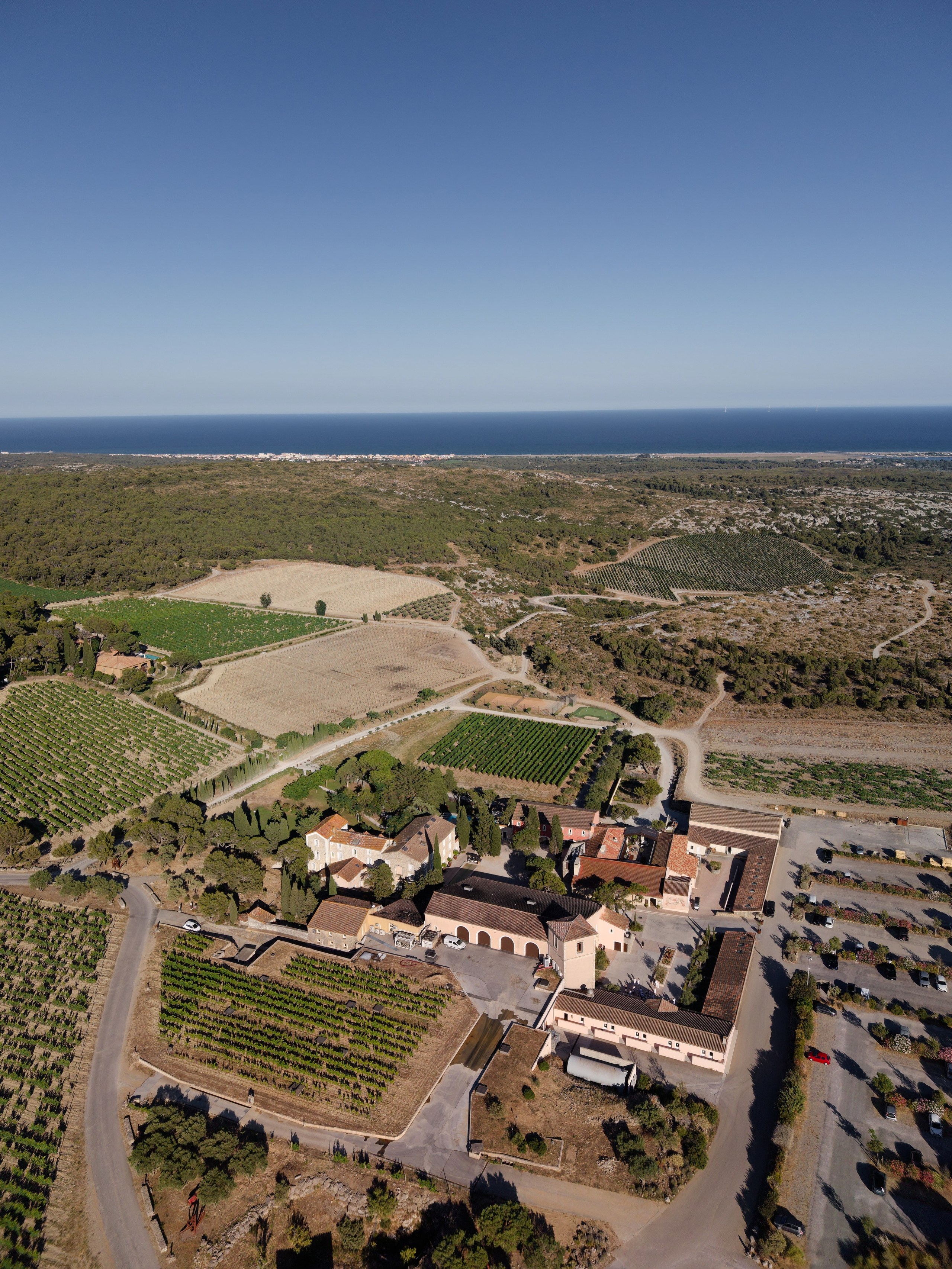 Welcome dinner at Château l’Hospitalet. Destination Wedding Photographer — Nikita Burtsev