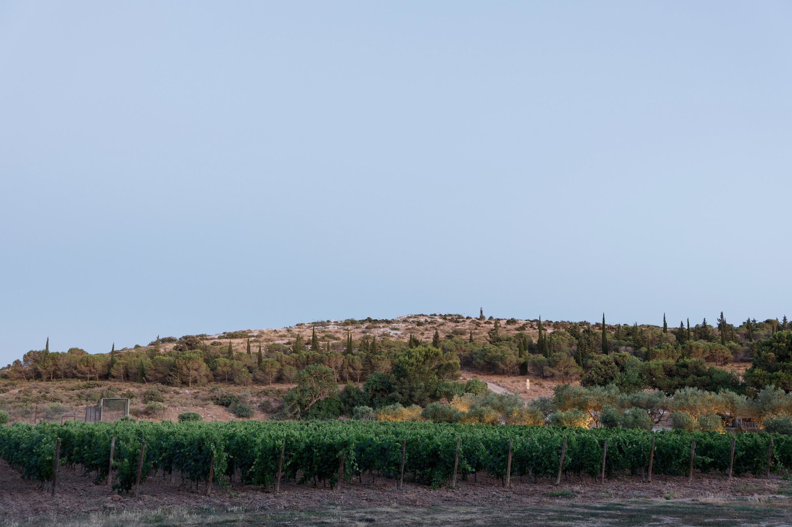 Welcome dinner at Château l’Hospitalet. Destination Wedding Photographer — Nikita Burtsev