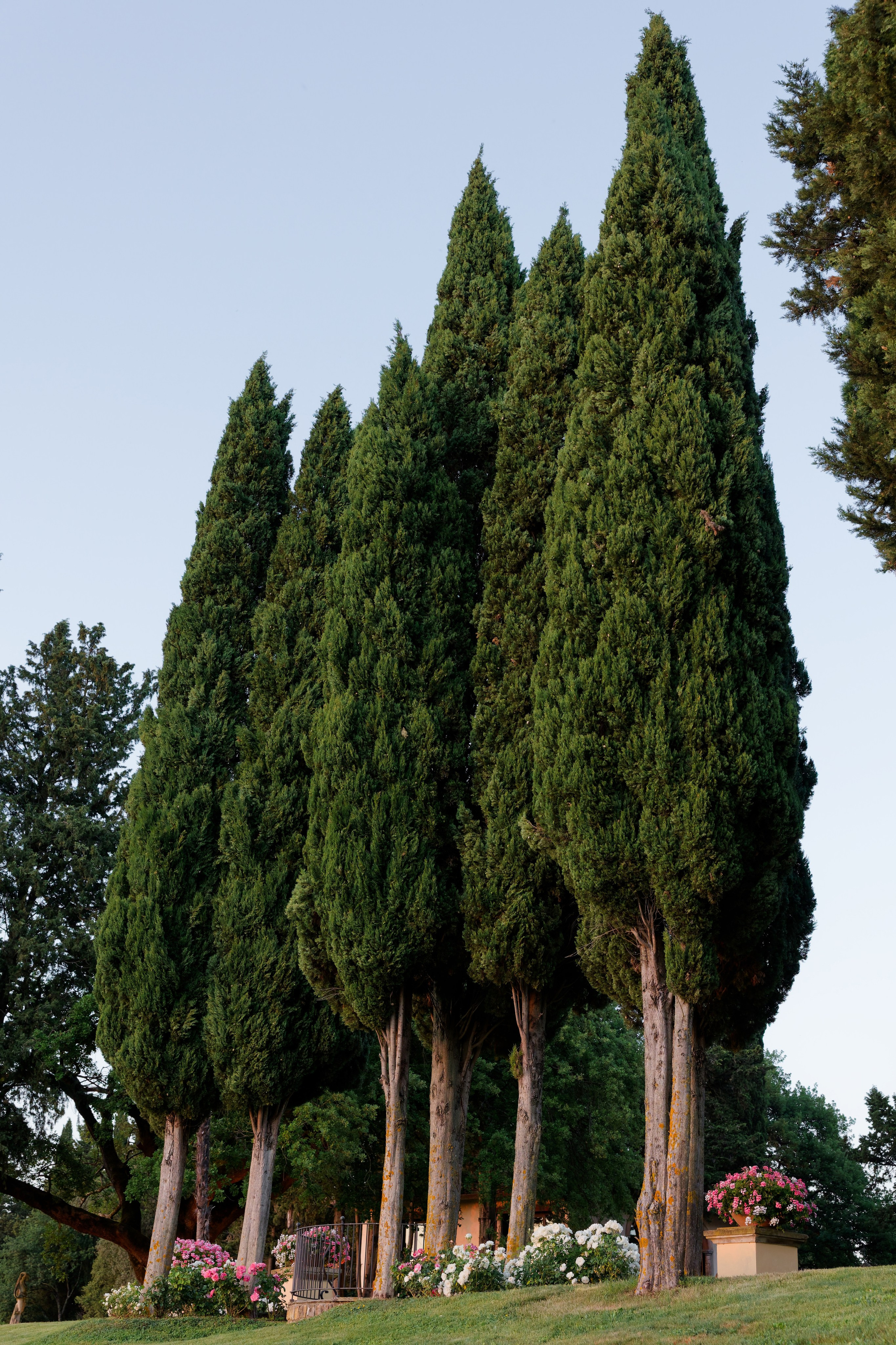 Wedding at Antica Fattoria di Paterno. Destination Wedding Photographer — Nikita Burtsev
