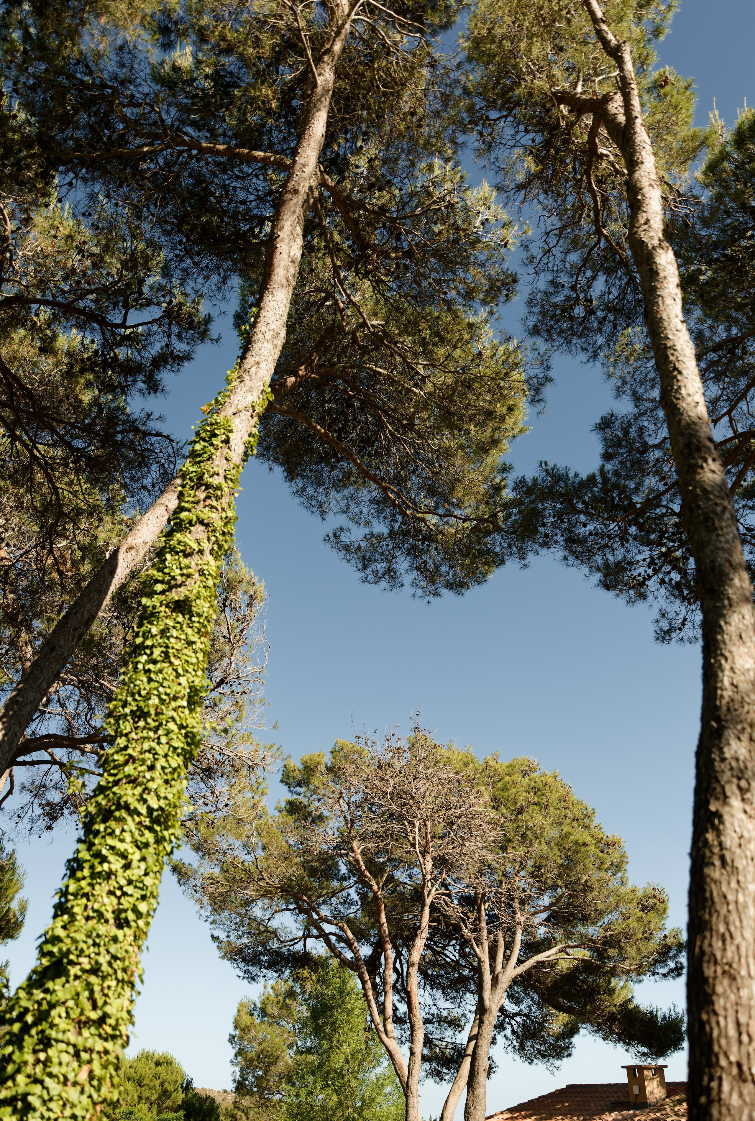 Welcome dinner at Château l’Hospitalet. Destination Wedding Photographer — Nikita Burtsev