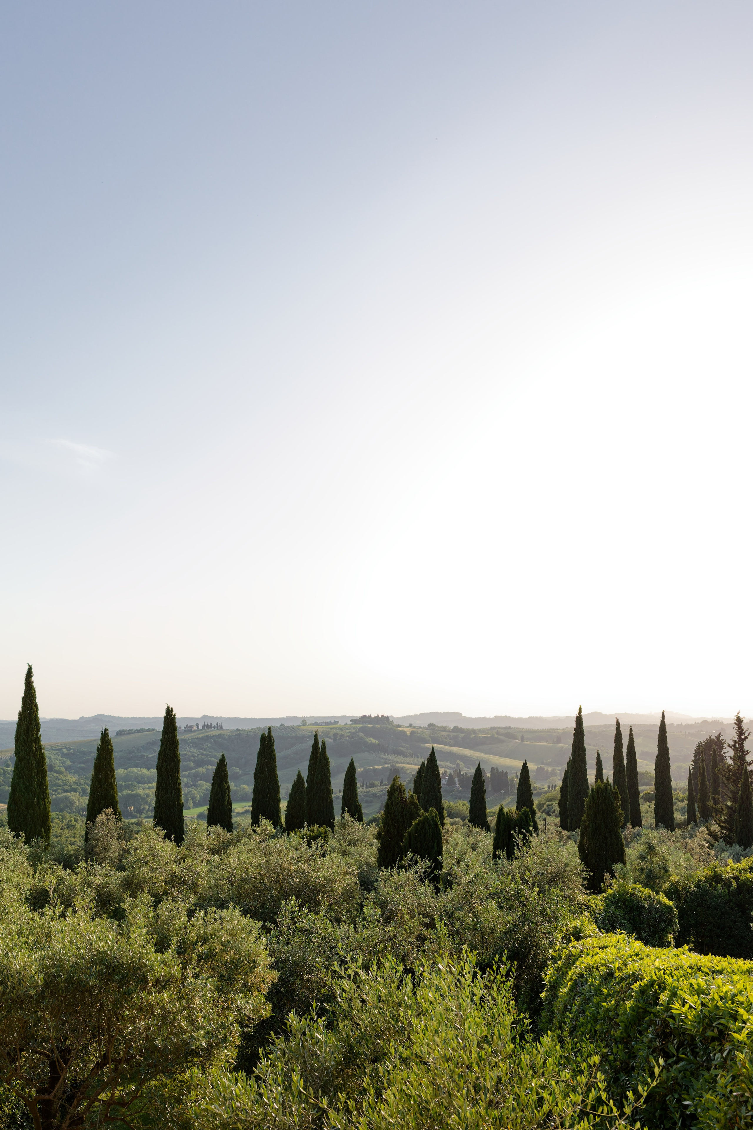 Wedding at Antica Fattoria di Paterno. Destination Wedding Photographer — Nikita Burtsev