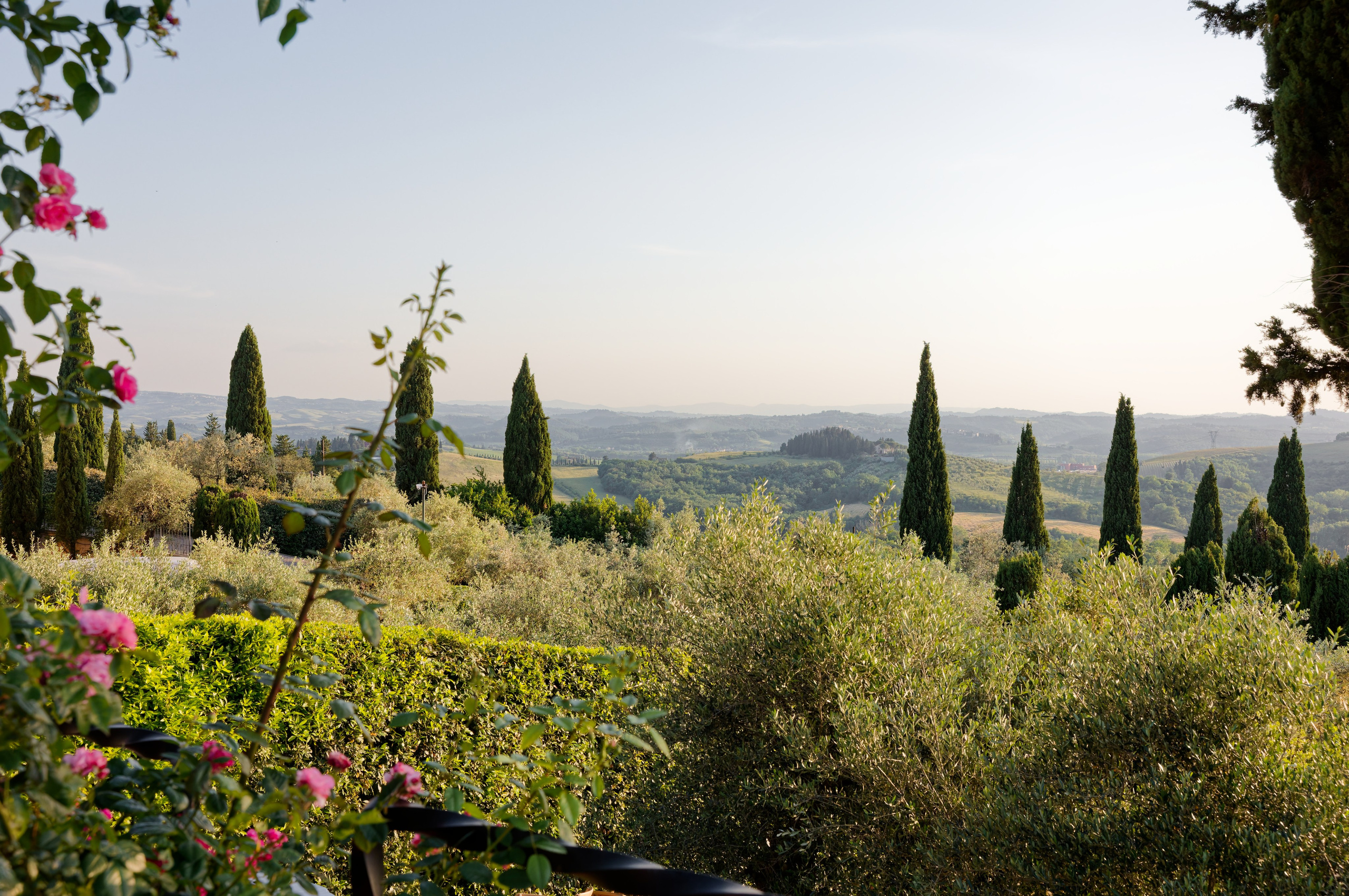 Wedding at Antica Fattoria di Paterno. Destination Wedding Photographer — Nikita Burtsev