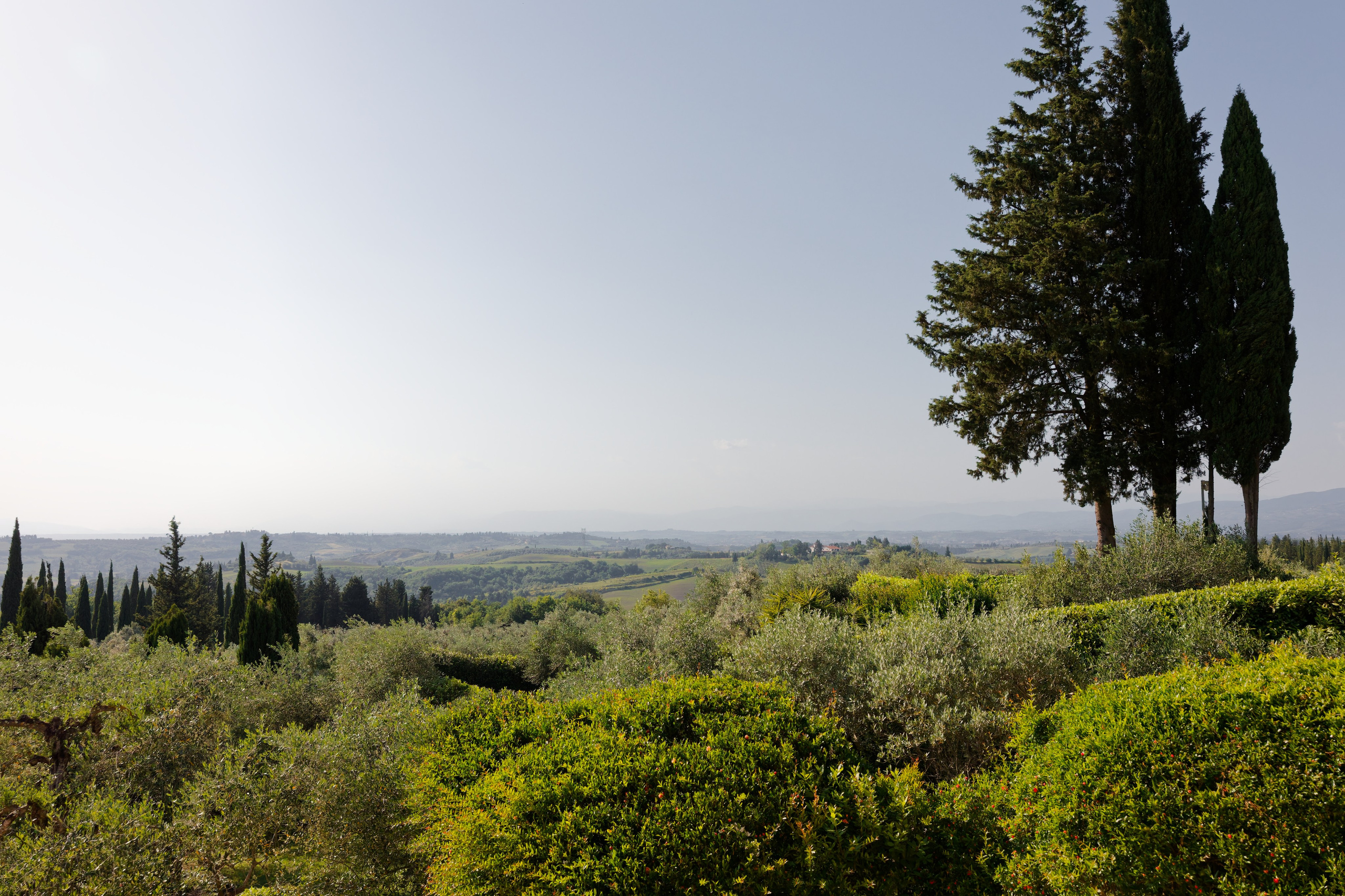 Wedding at Antica Fattoria di Paterno. Destination Wedding Photographer — Nikita Burtsev