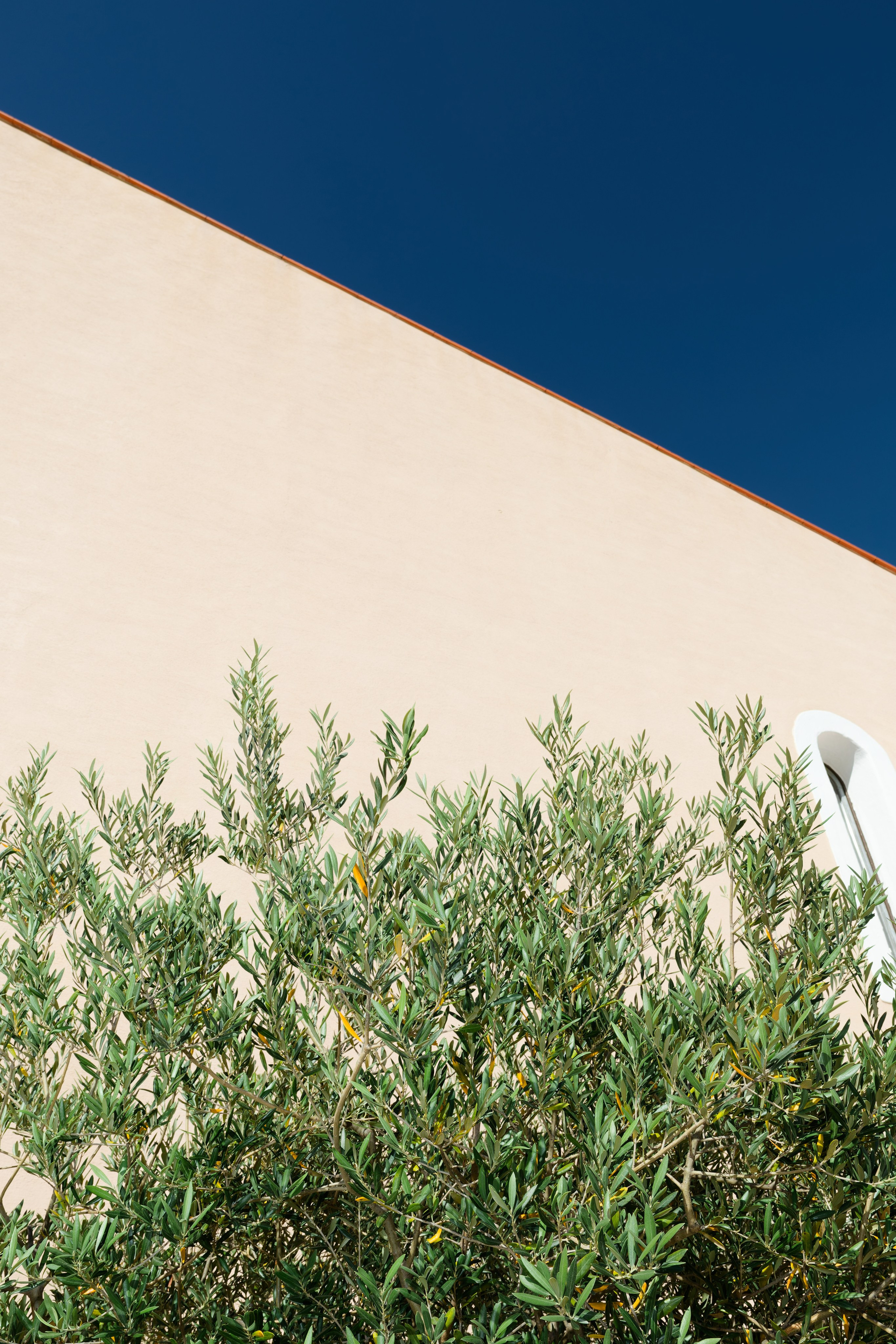 Welcome dinner at Château l’Hospitalet. Destination Wedding Photographer — Nikita Burtsev