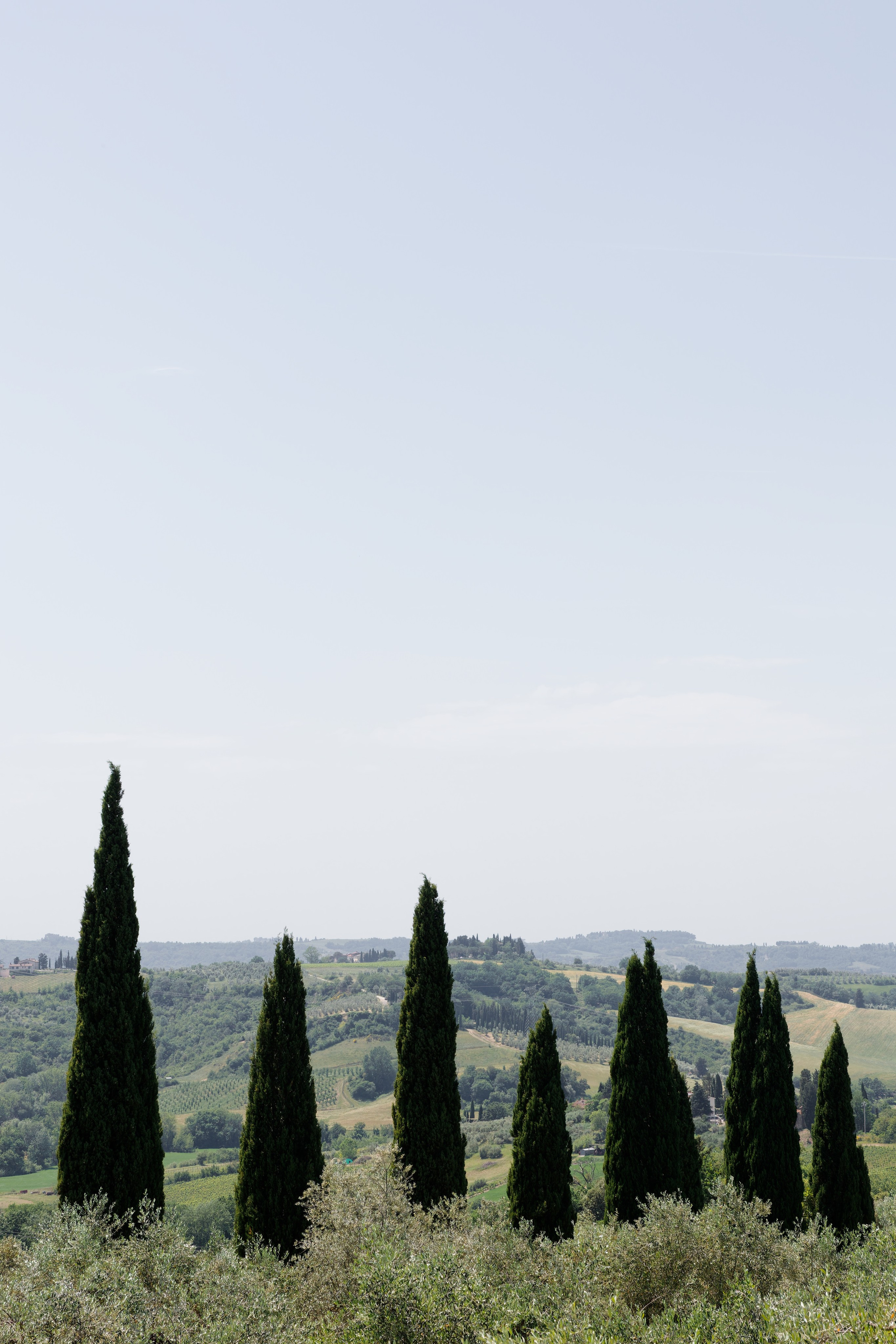Wedding at Antica Fattoria di Paterno. Destination Wedding Photographer — Nikita Burtsev