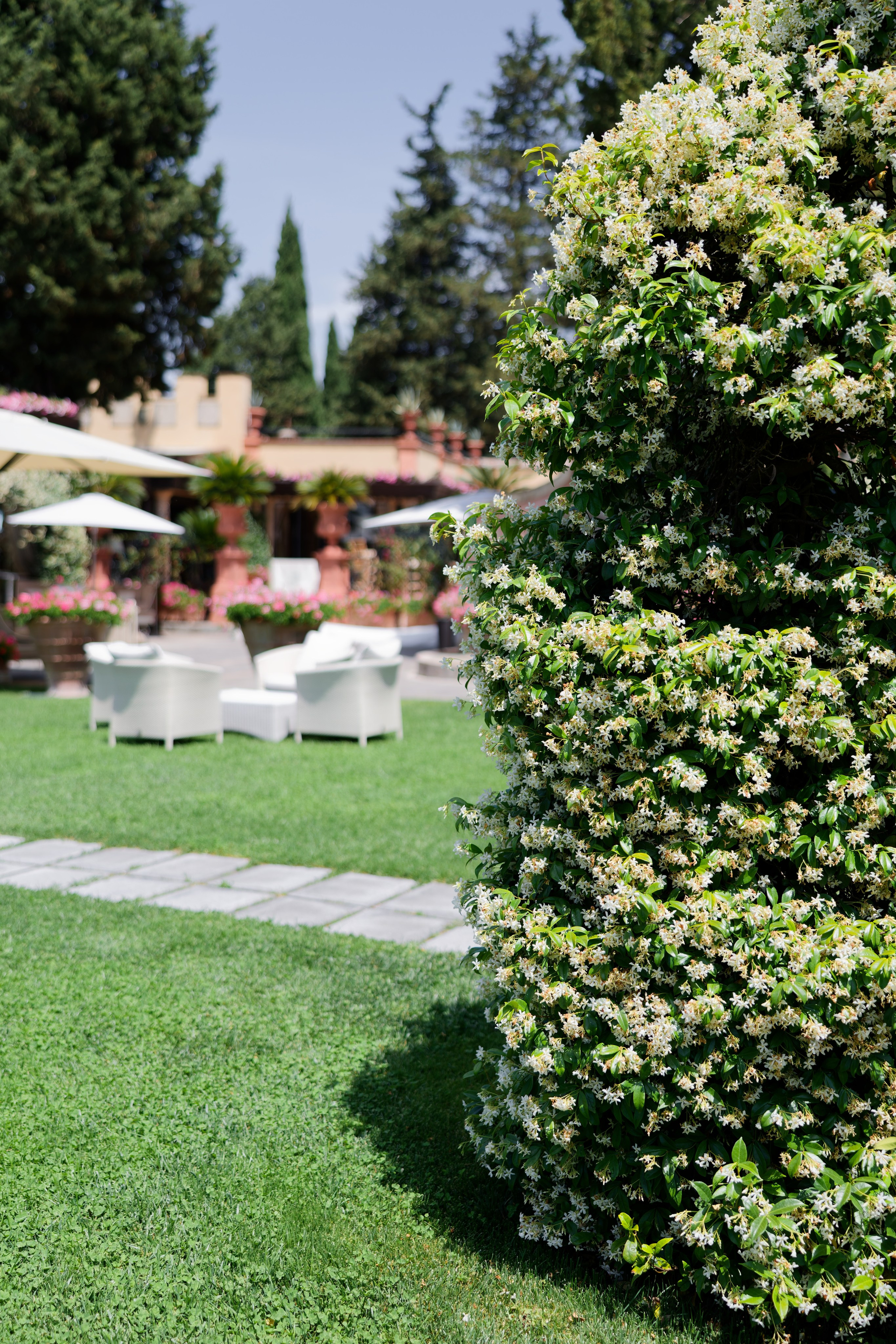 Wedding at Antica Fattoria di Paterno. Destination Wedding Photographer — Nikita Burtsev