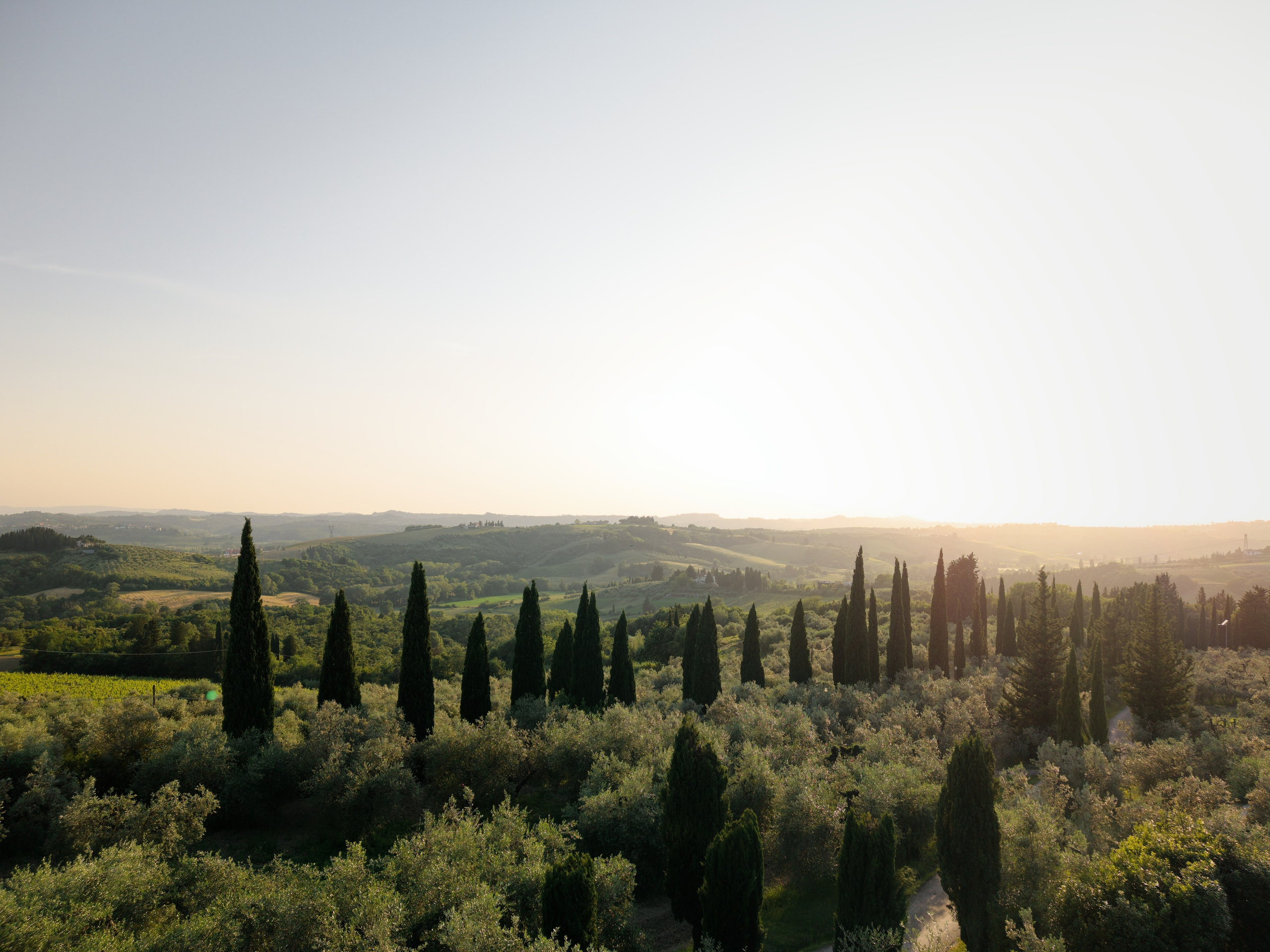Wedding at Antica Fattoria di Paterno. Destination Wedding Photographer — Nikita Burtsev
