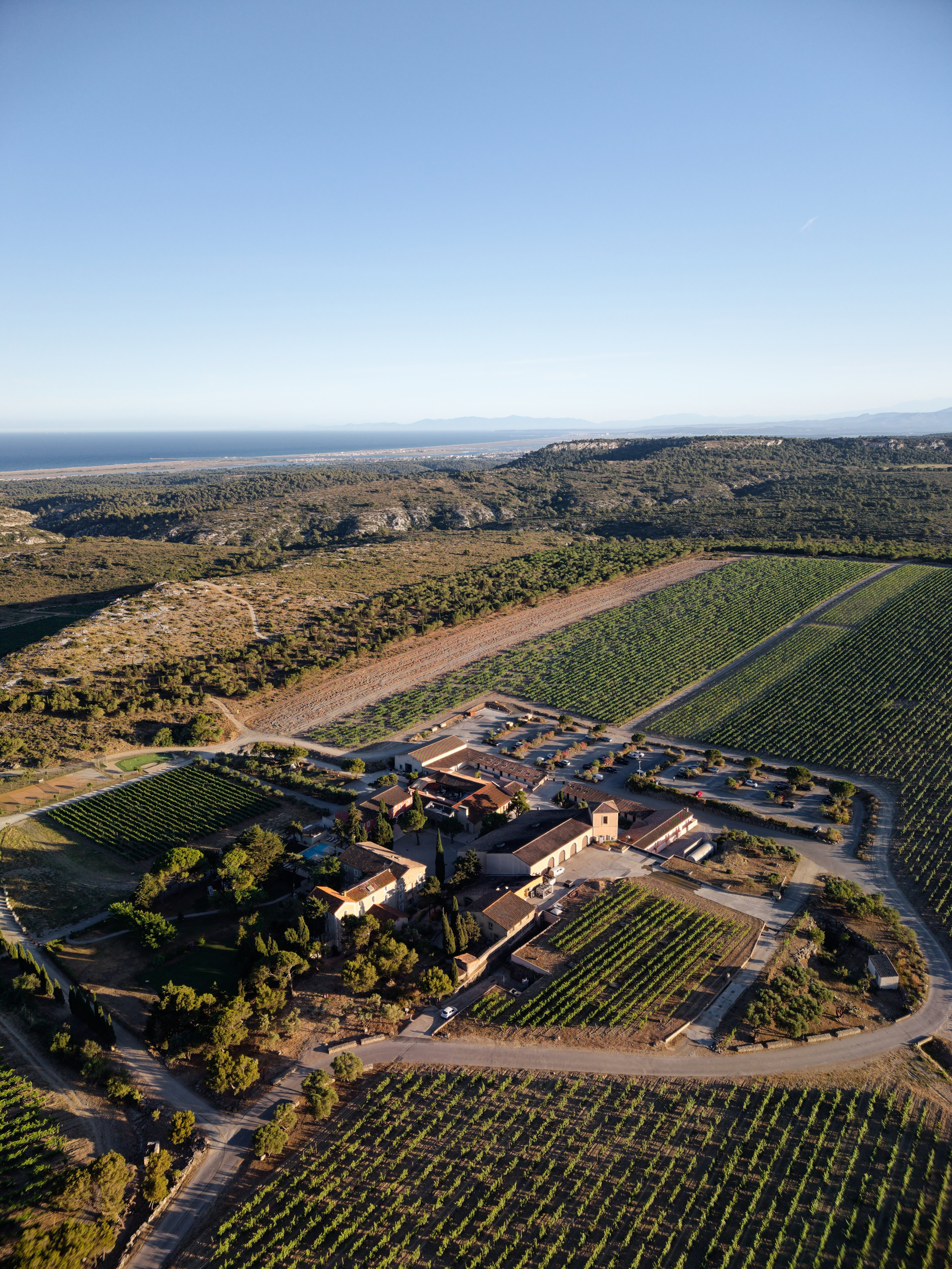 Welcome dinner at Château l’Hospitalet. Destination Wedding Photographer — Nikita Burtsev