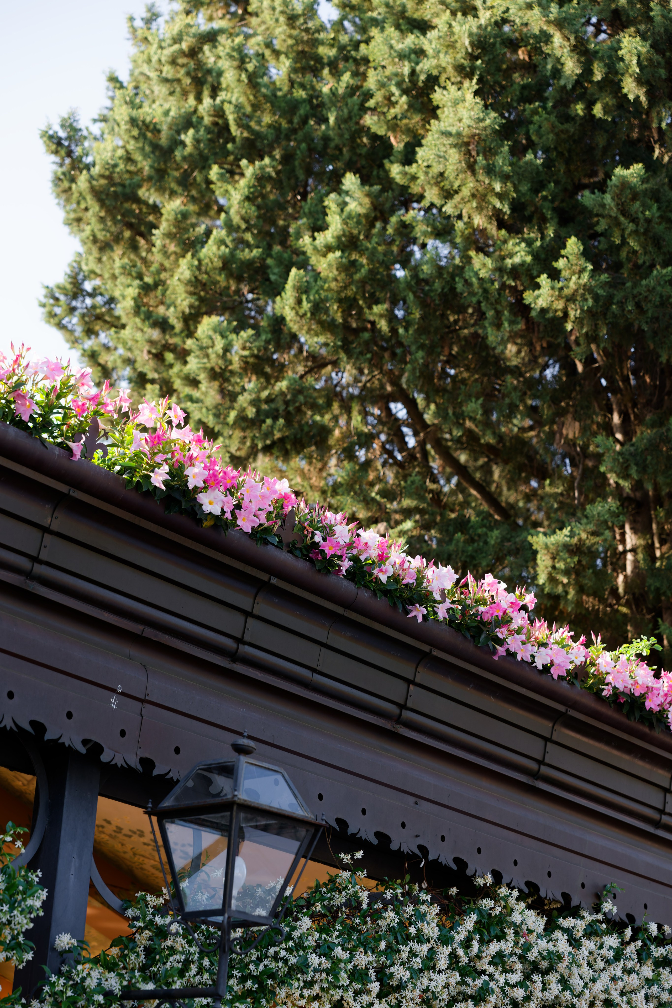 Wedding at Antica Fattoria di Paterno. Destination Wedding Photographer — Nikita Burtsev