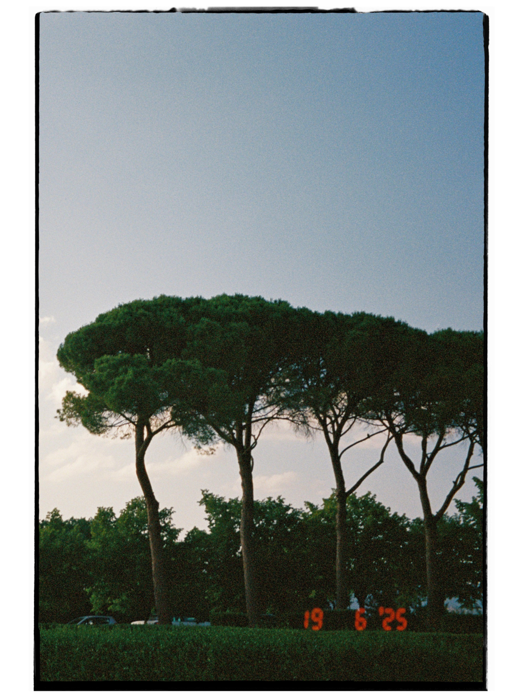 Majken & Jesper. Destination Wedding Photographer — Nikita Burtsev