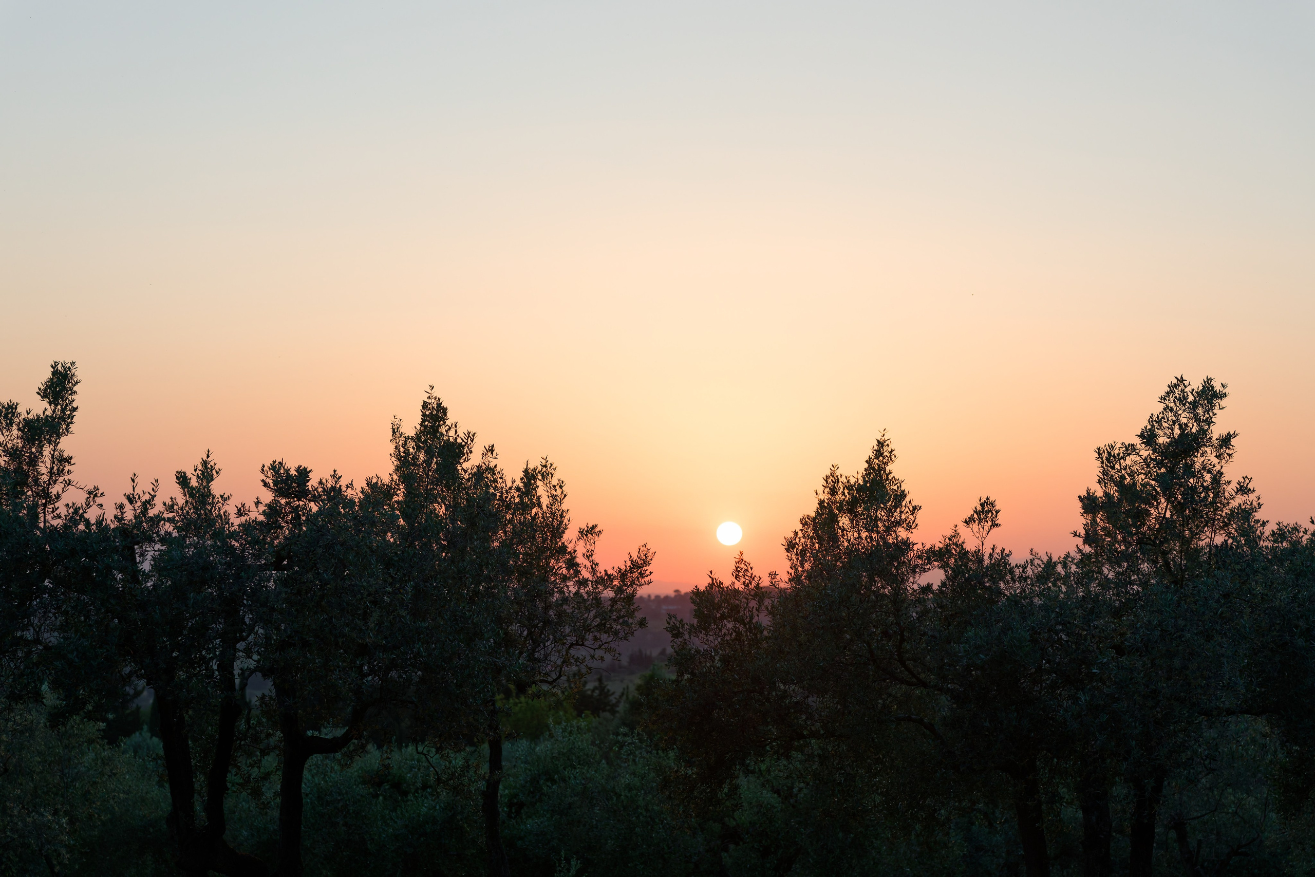 Wedding at Antica Fattoria di Paterno. Destination Wedding Photographer — Nikita Burtsev