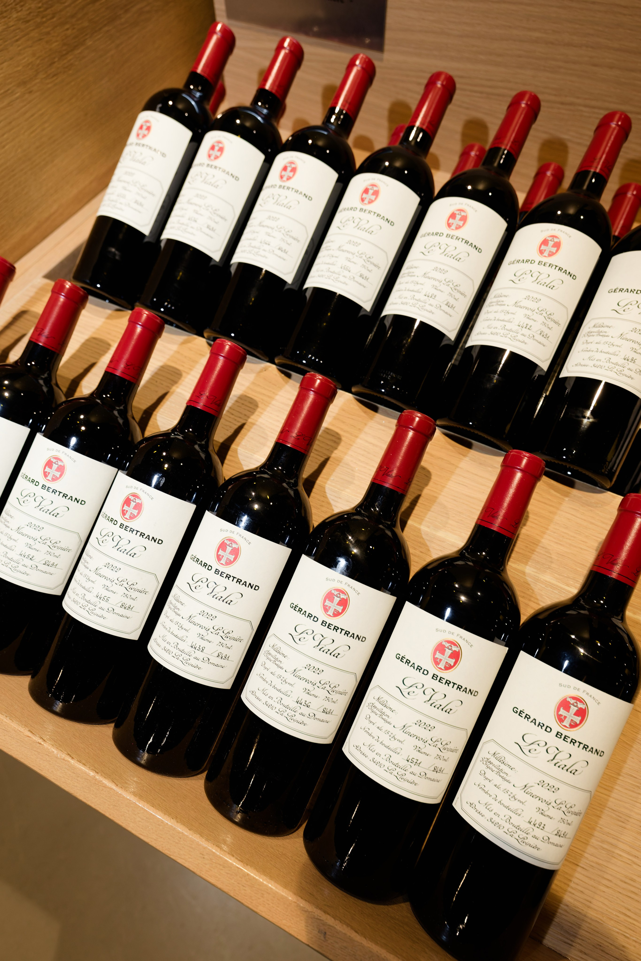 Welcome dinner at Château l’Hospitalet. Destination Wedding Photographer — Nikita Burtsev
