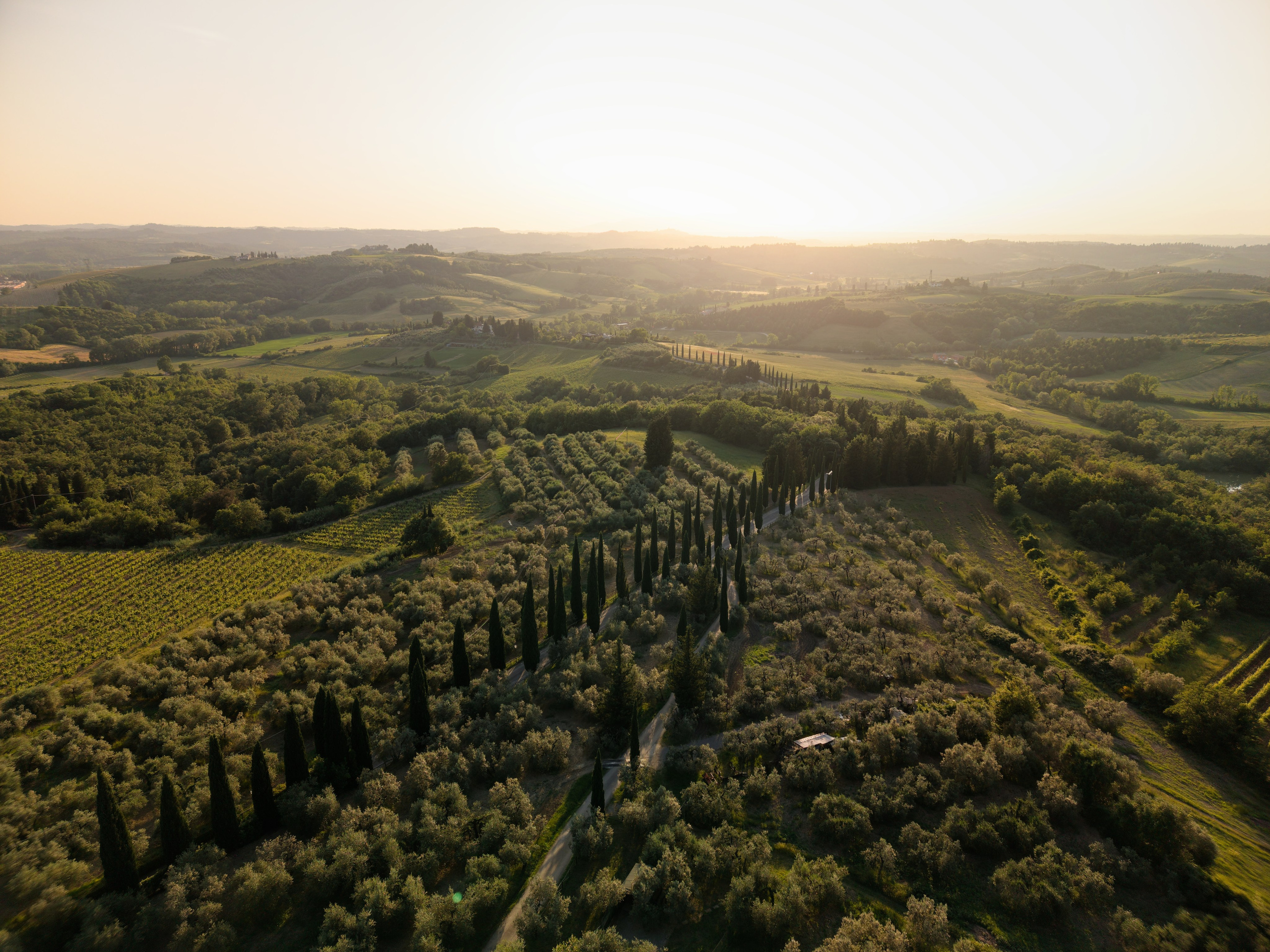 Wedding at Antica Fattoria di Paterno. Destination Wedding Photographer — Nikita Burtsev