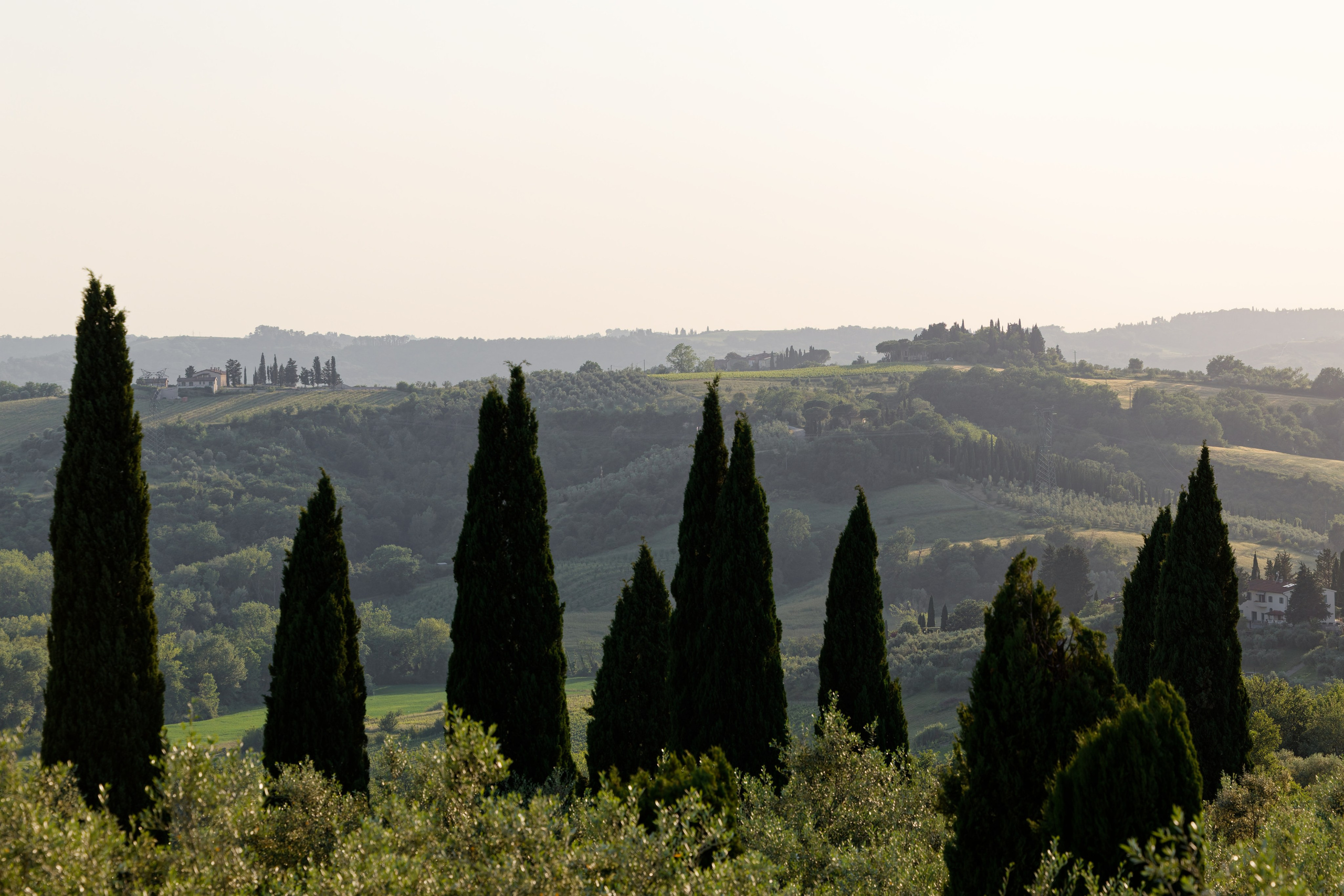 Wedding at Antica Fattoria di Paterno. Destination Wedding Photographer — Nikita Burtsev