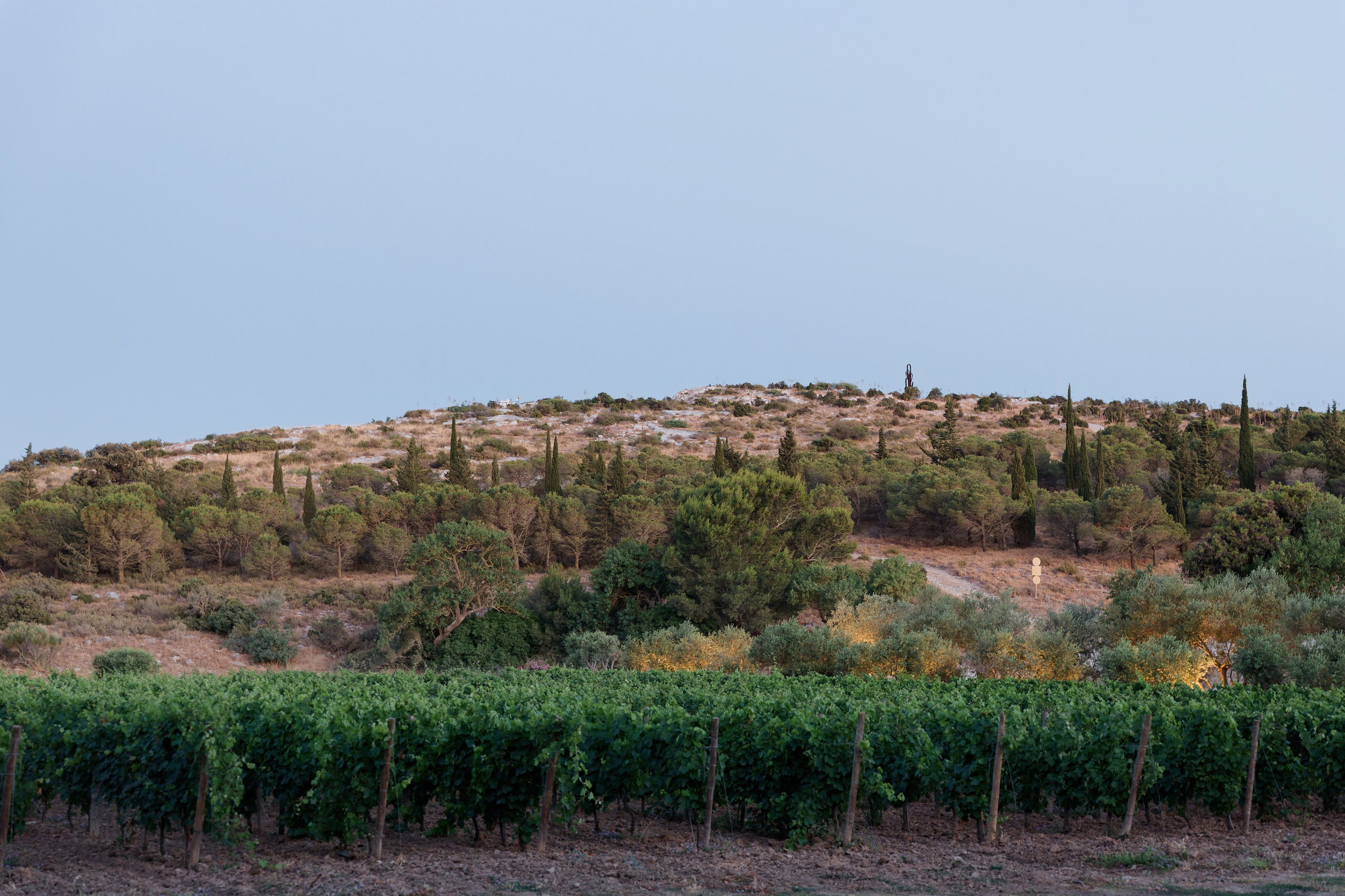 Welcome dinner at Château l’Hospitalet. Destination Wedding Photographer — Nikita Burtsev