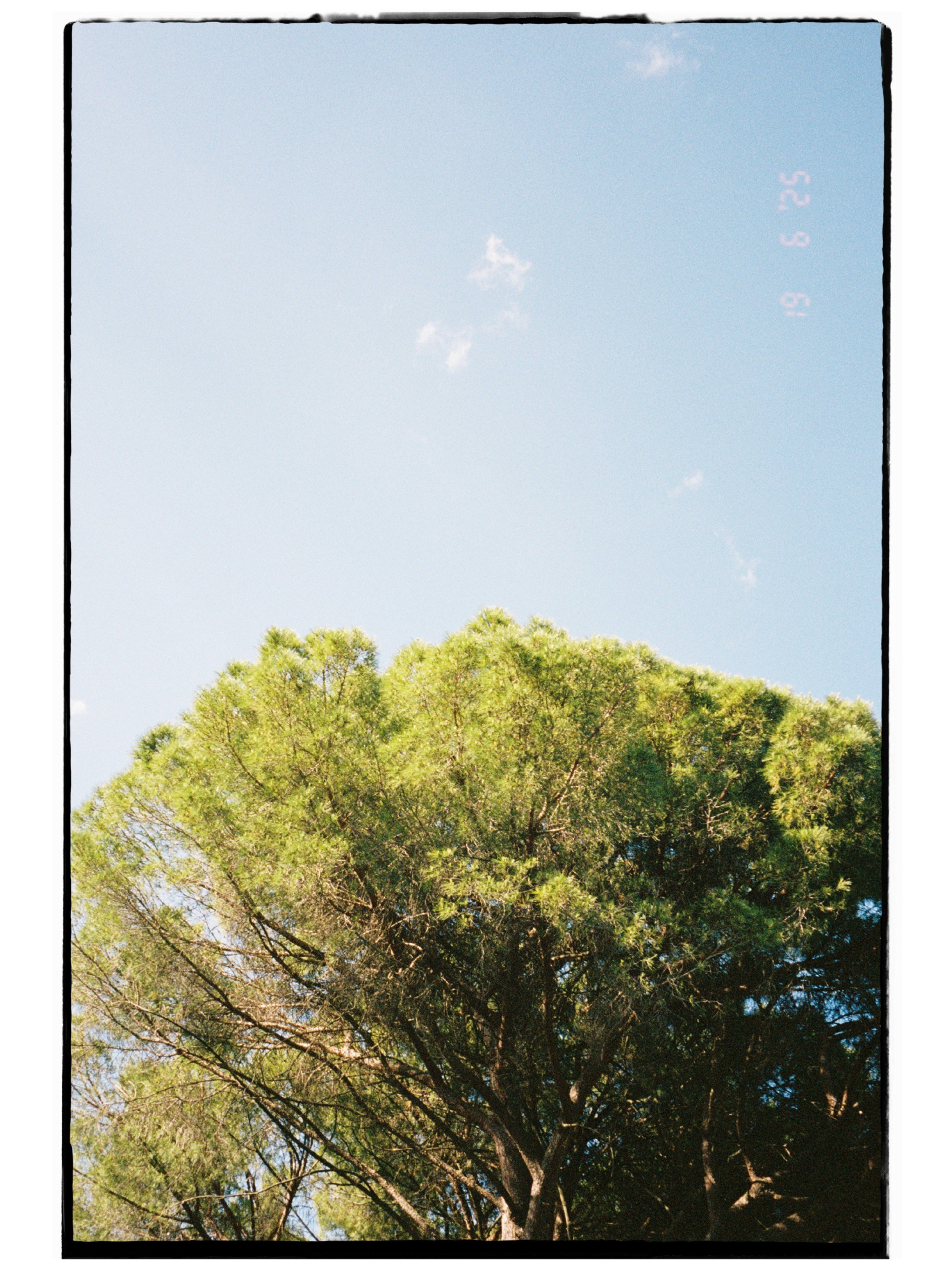 Majken & Jesper. Destination Wedding Photographer — Nikita Burtsev