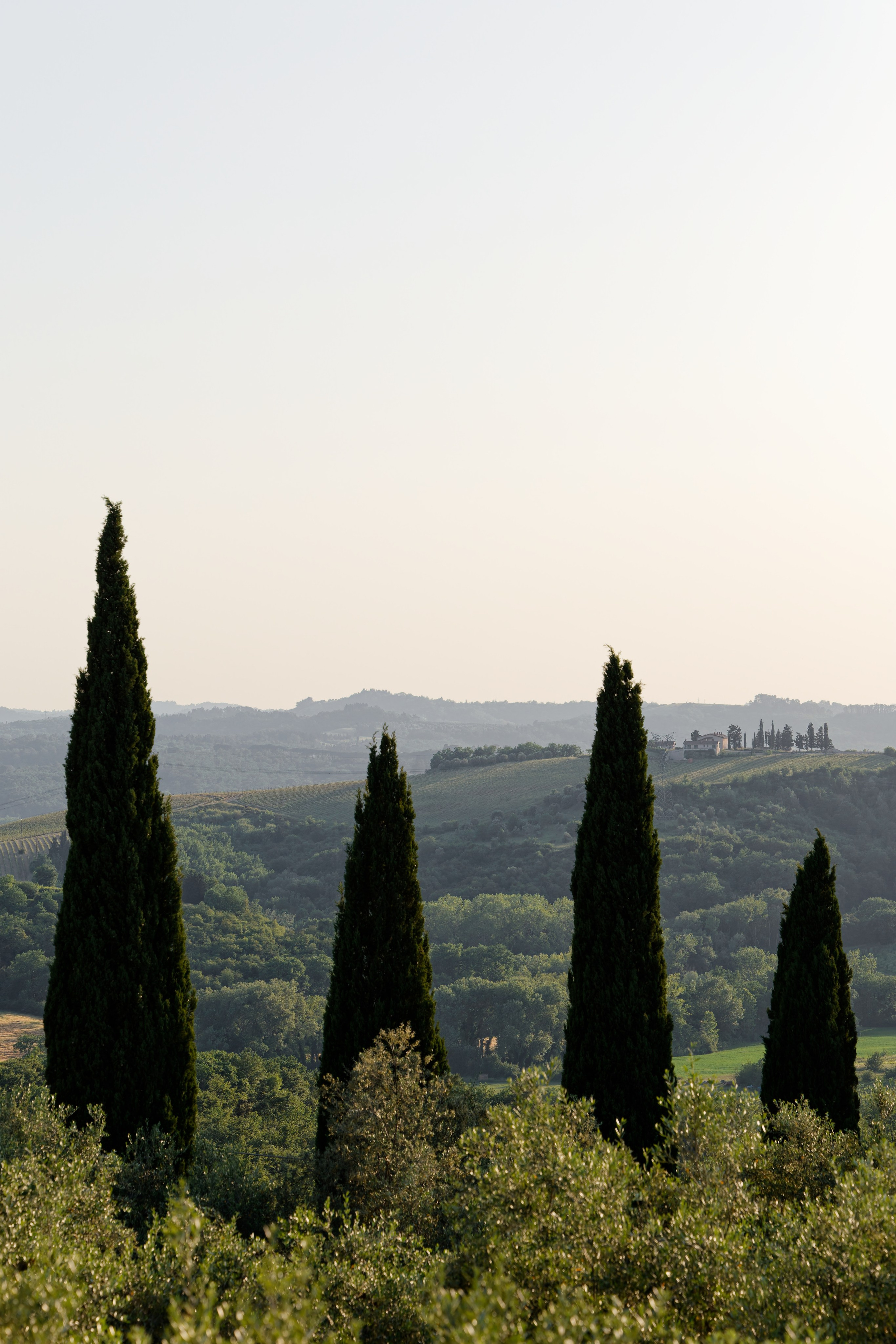 Wedding at Antica Fattoria di Paterno. Destination Wedding Photographer — Nikita Burtsev