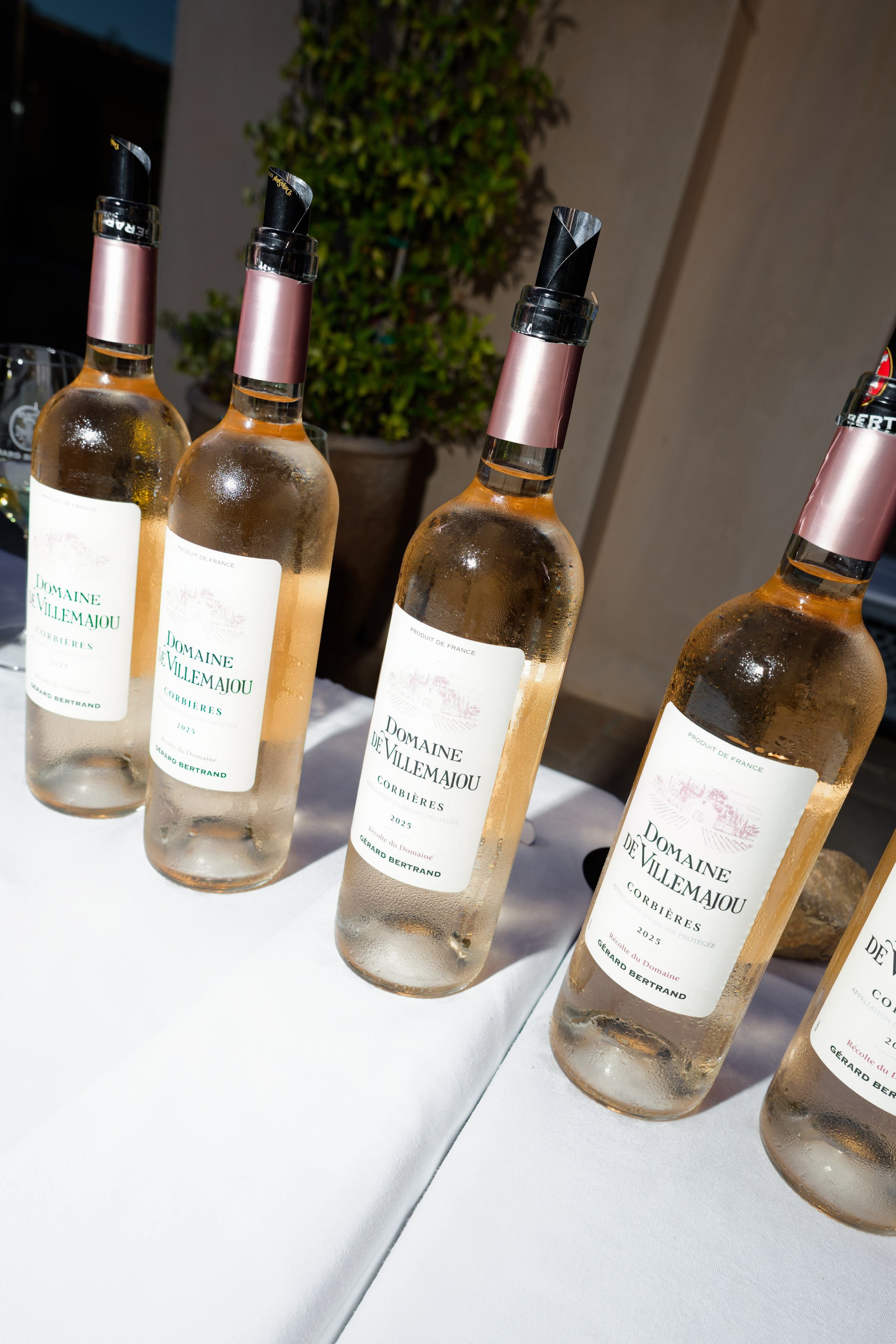 Welcome dinner at Château l’Hospitalet. Destination Wedding Photographer — Nikita Burtsev