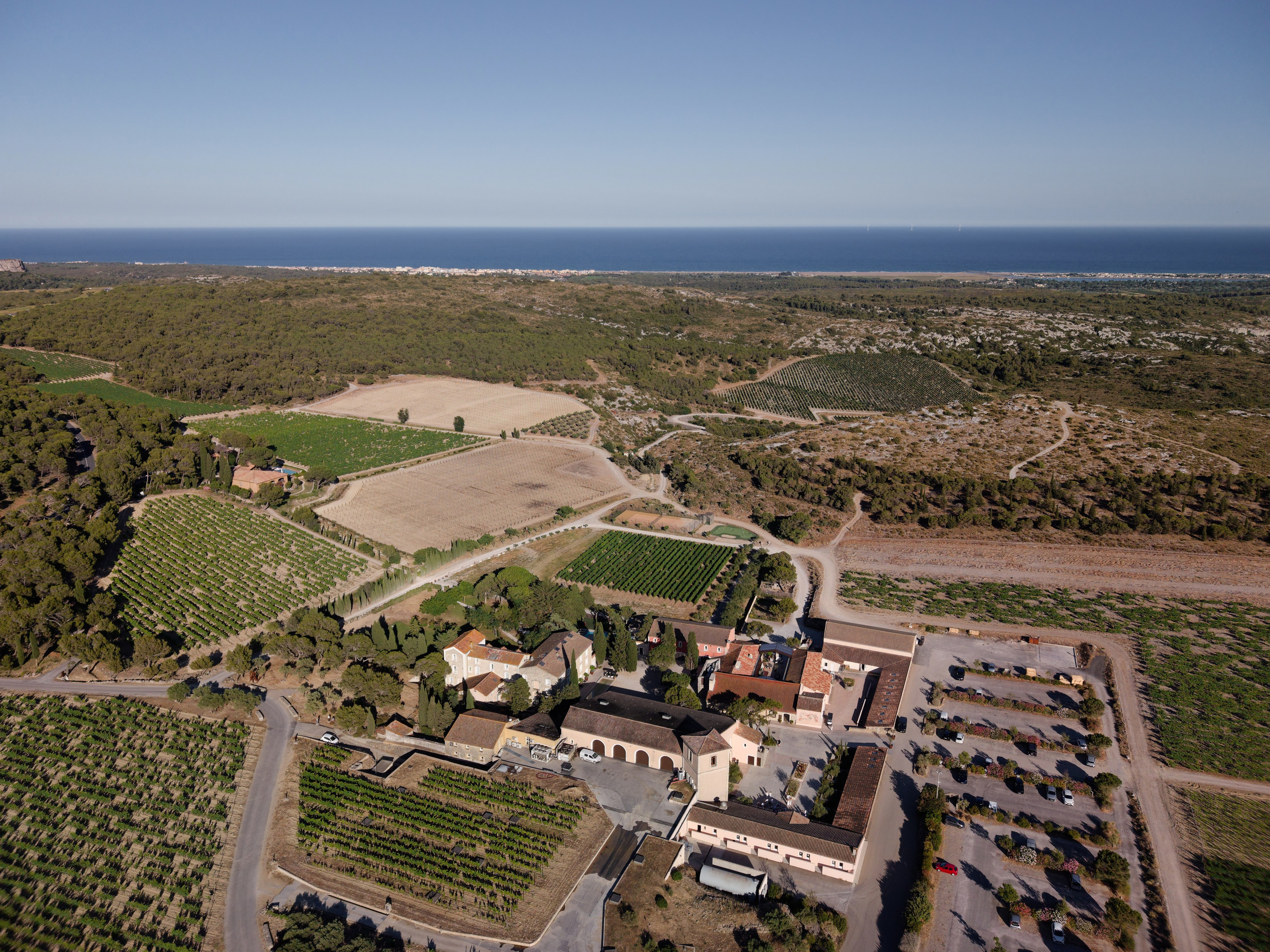 Welcome dinner at Château l’Hospitalet. Destination Wedding Photographer — Nikita Burtsev