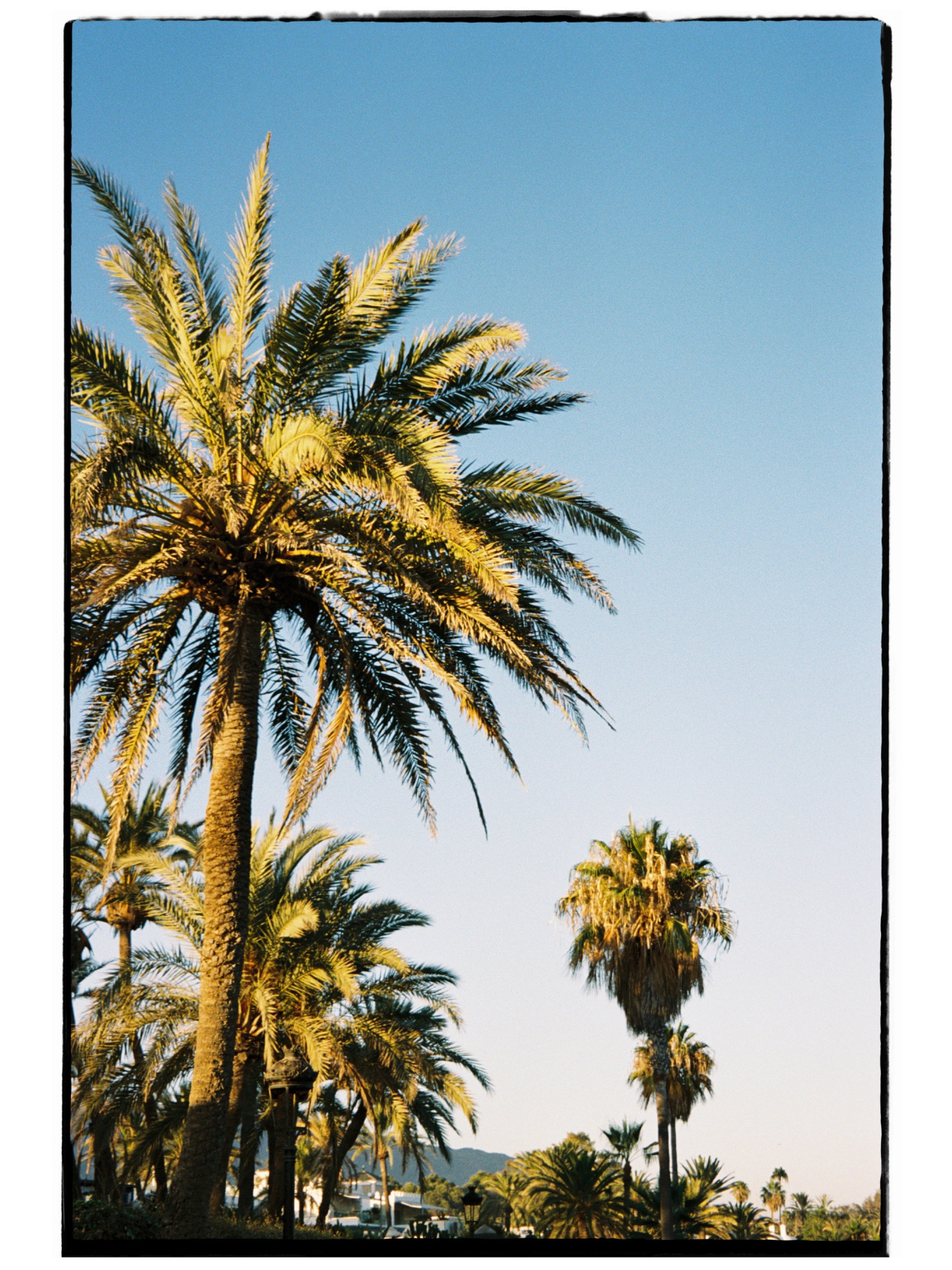 Camilla & Oliver. Destination Wedding Photographer — Nikita Burtsev