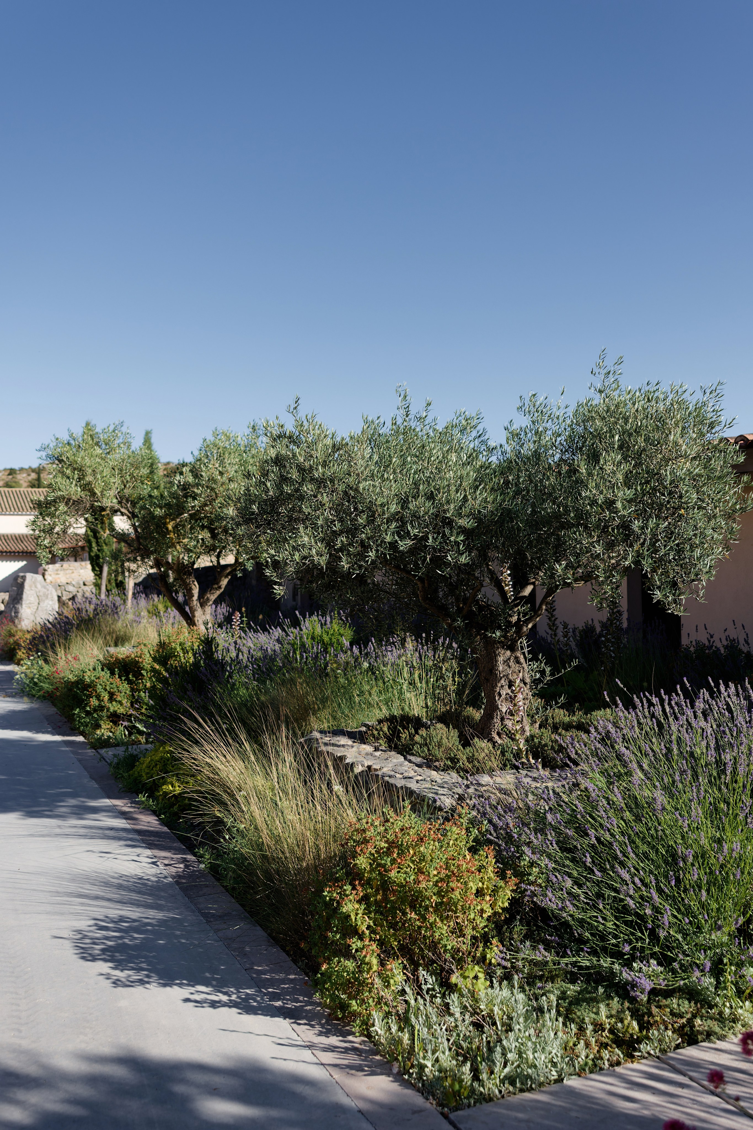 Welcome dinner at Château l’Hospitalet. Destination Wedding Photographer — Nikita Burtsev