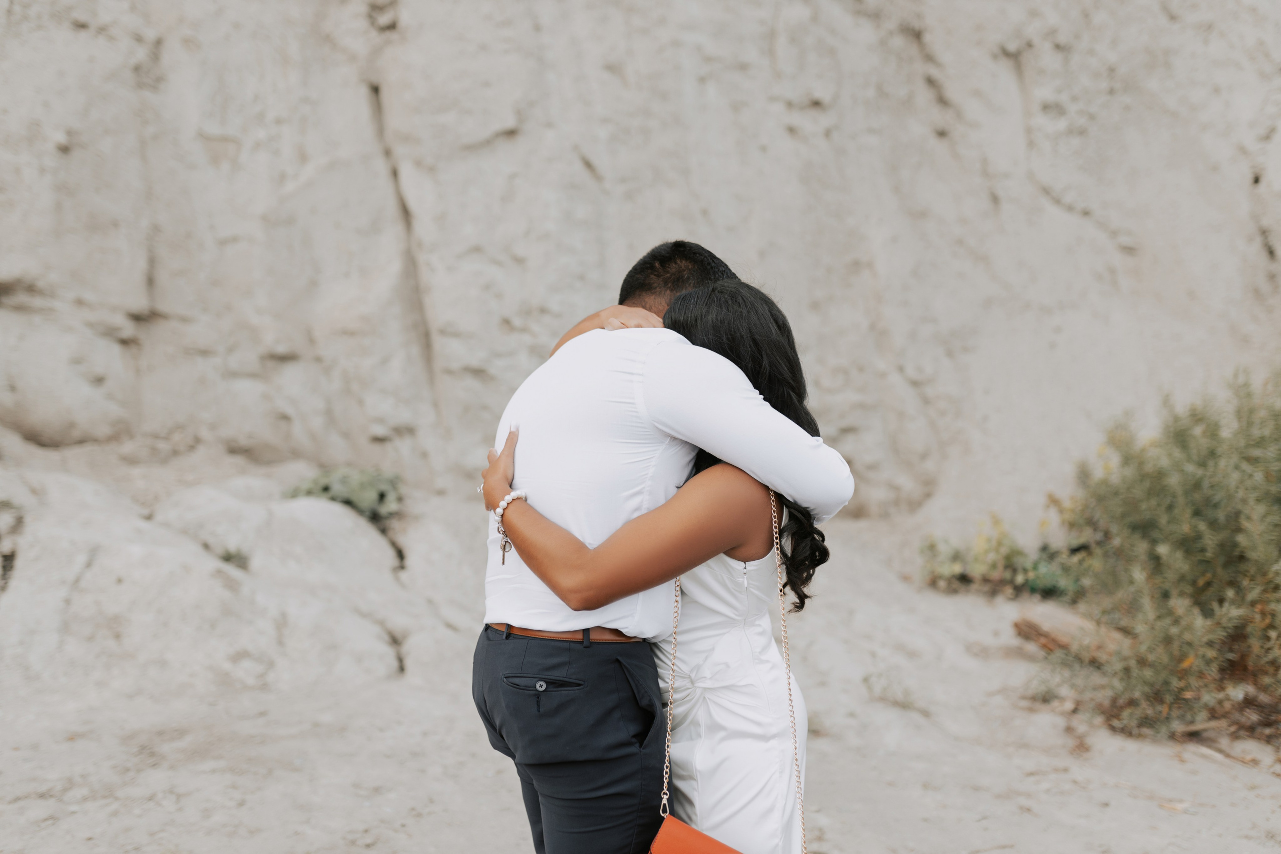Proposal Scarborough Bluffs. Chernenko.photography
