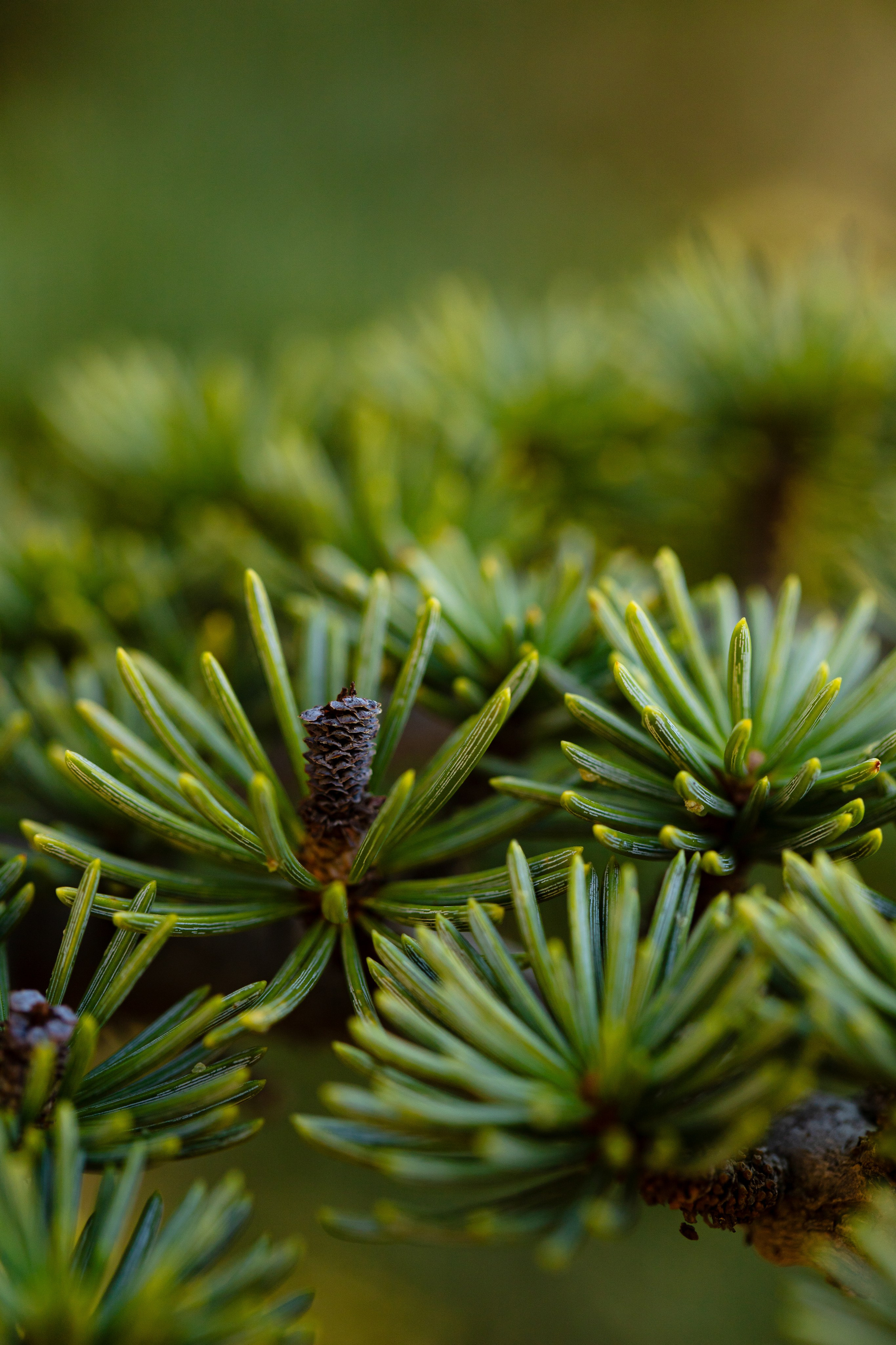 Around the world: Moments. Фотограф и Видеограф | Кишинев, Молдова