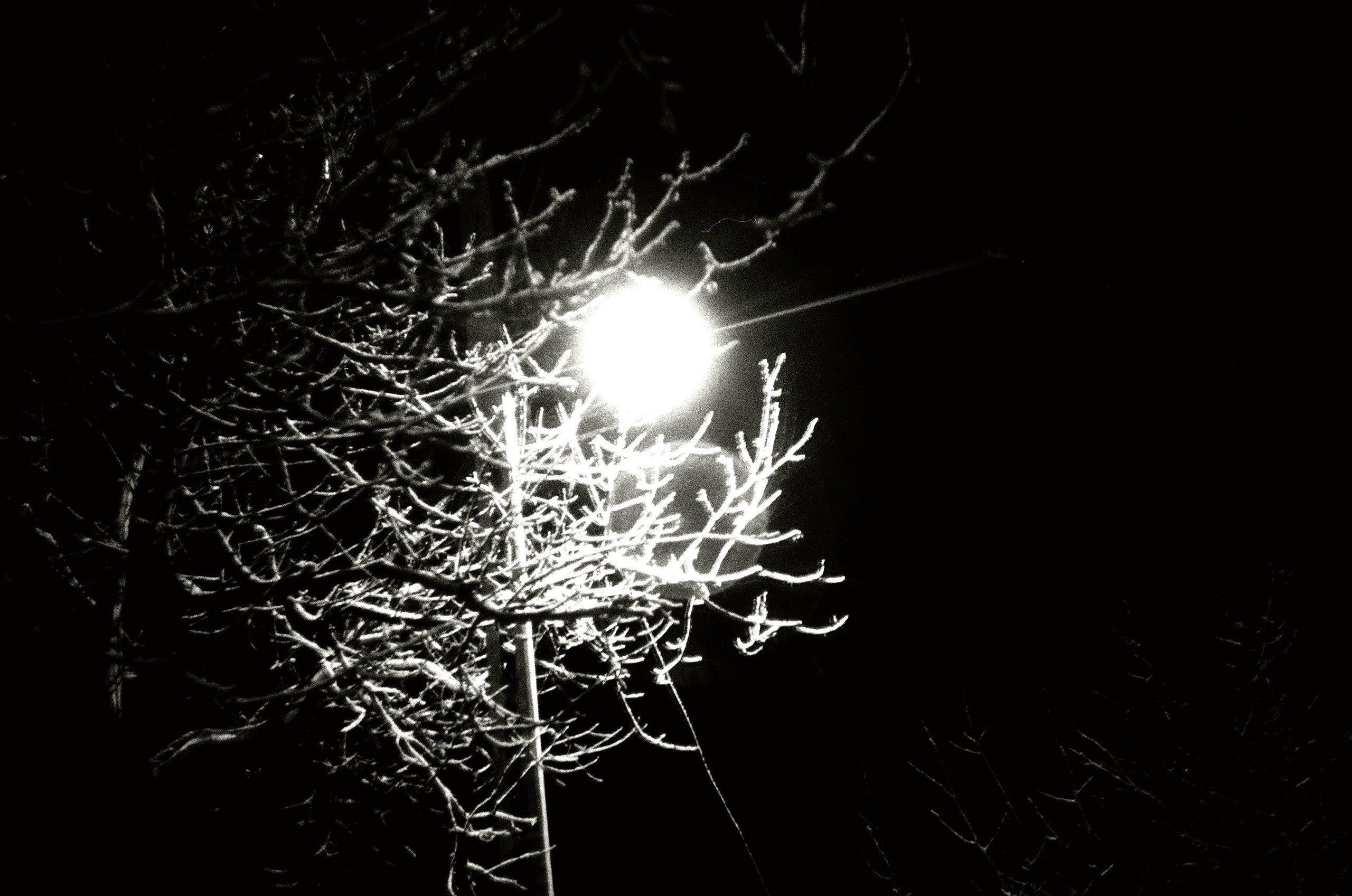 Personal Photography. Arman Milani, Brand-Focused Video Production & Content Creation, Based in Berlin