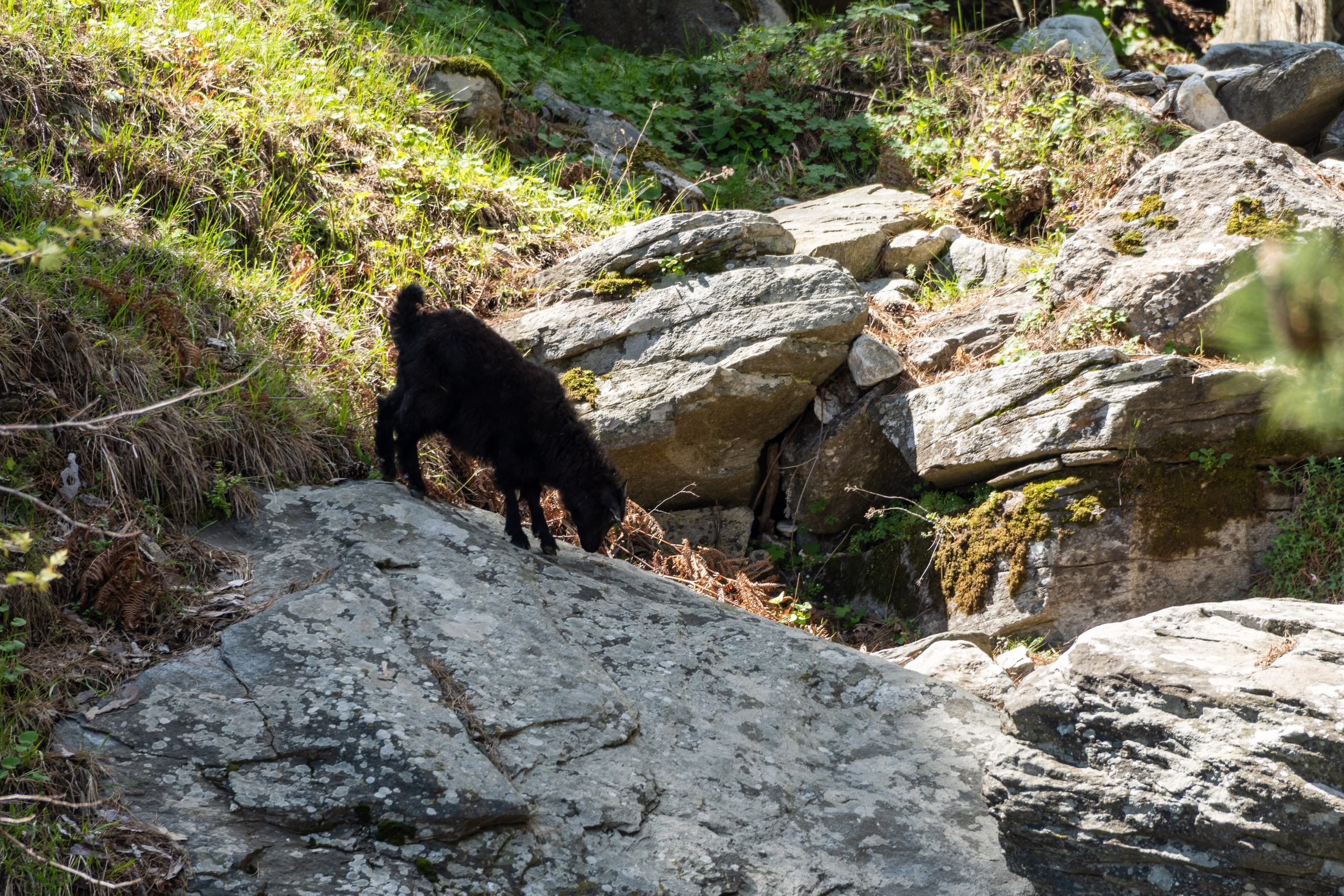 Thasos 2025. Fotografiideplacere.net