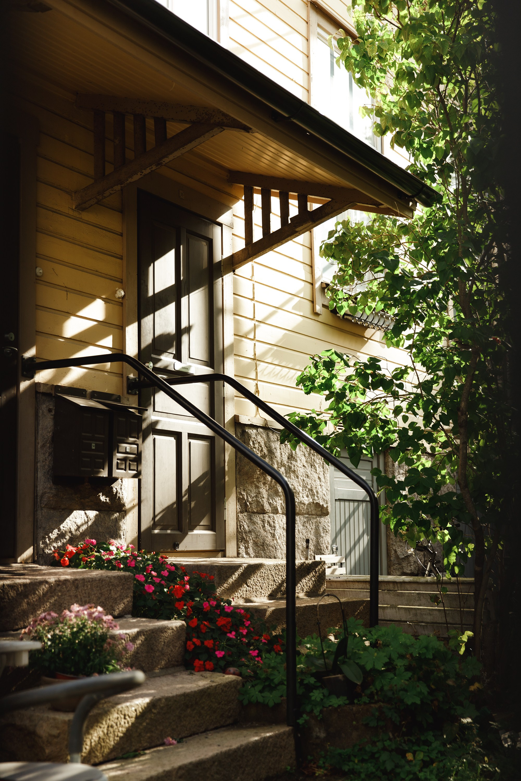 Turku. Kaja | fotograf psów we Wrocławiu