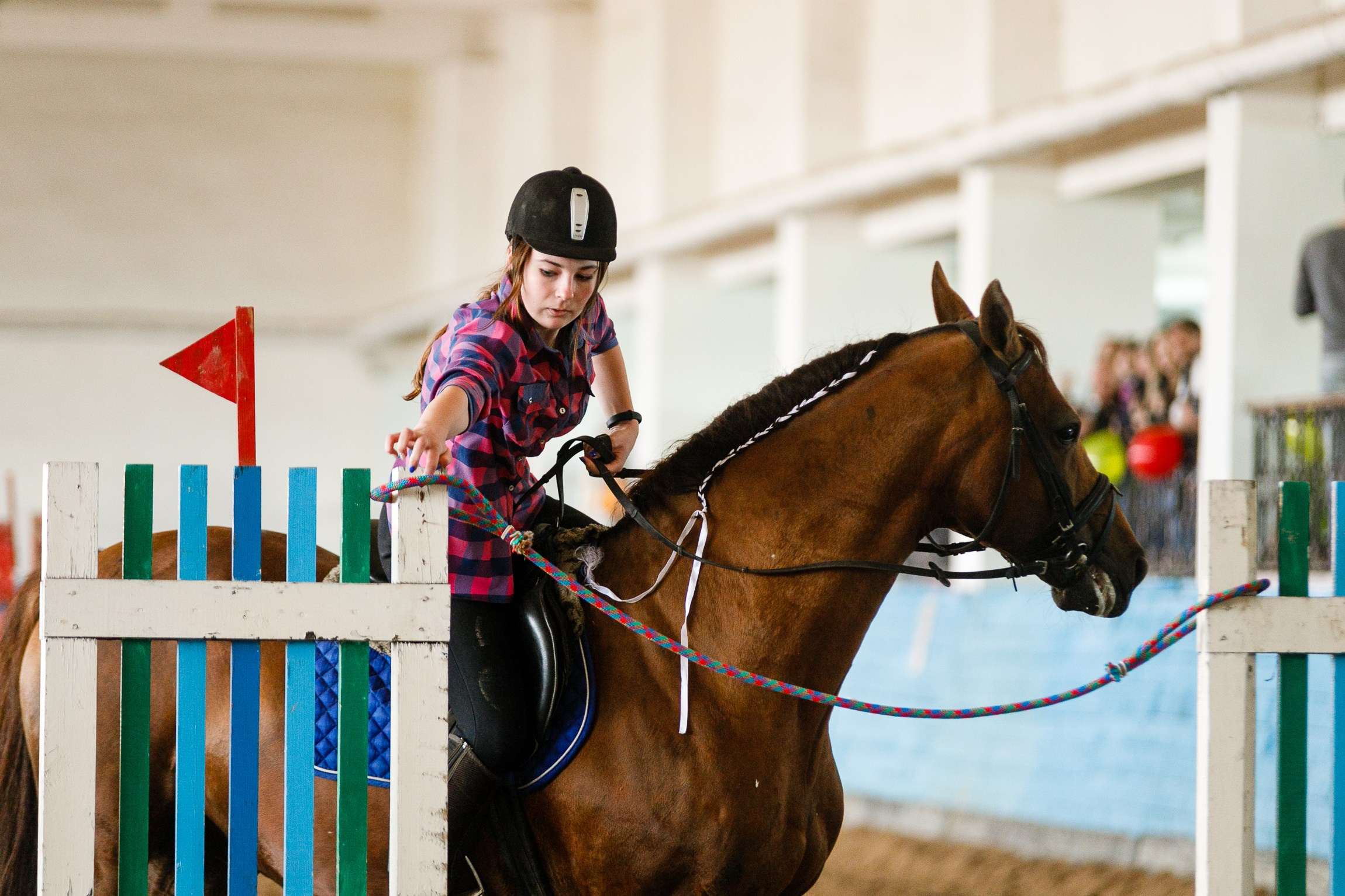Horse winter games. Kaja | fotograf we Wrocławiu | ludzie i psy