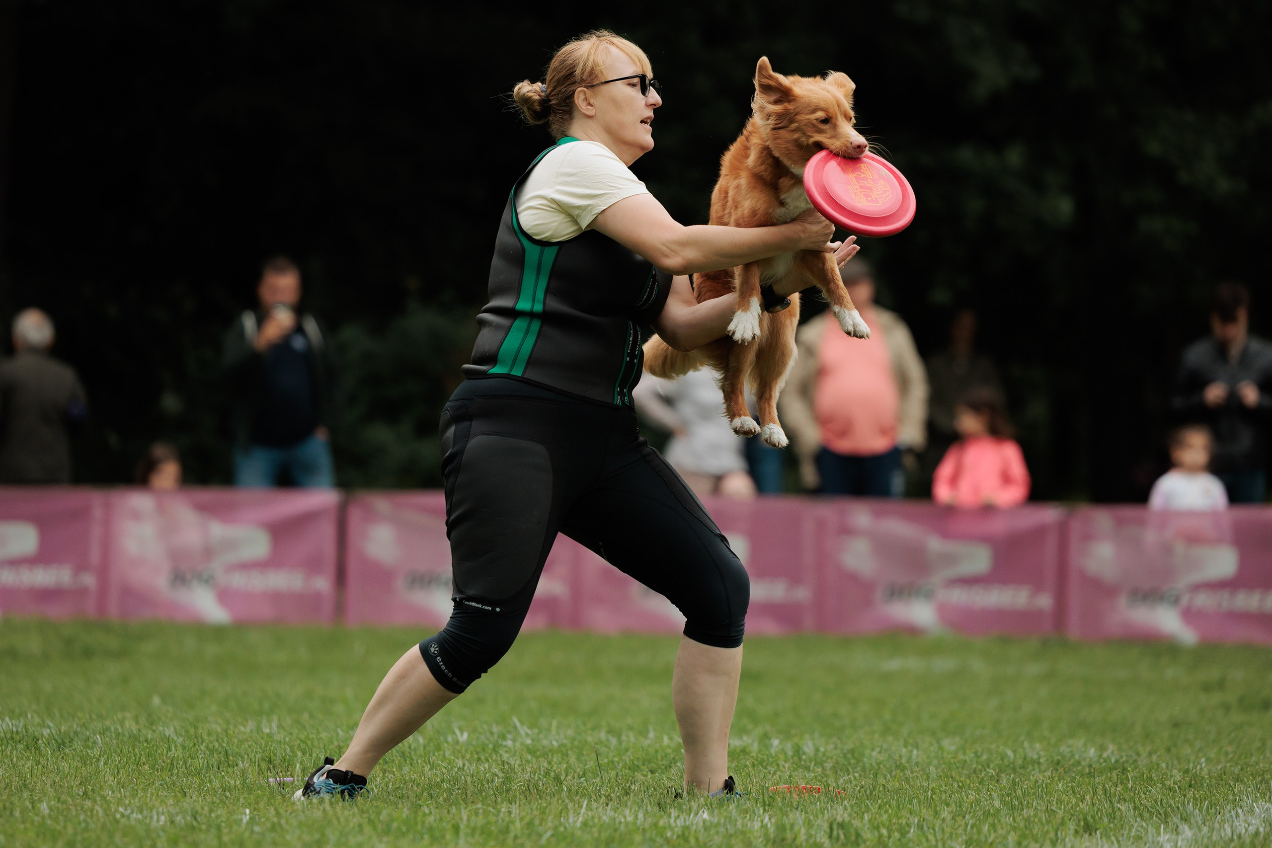 Latające psy, Wrocław'25. Kaja | fotograf psów we Wrocławiu
