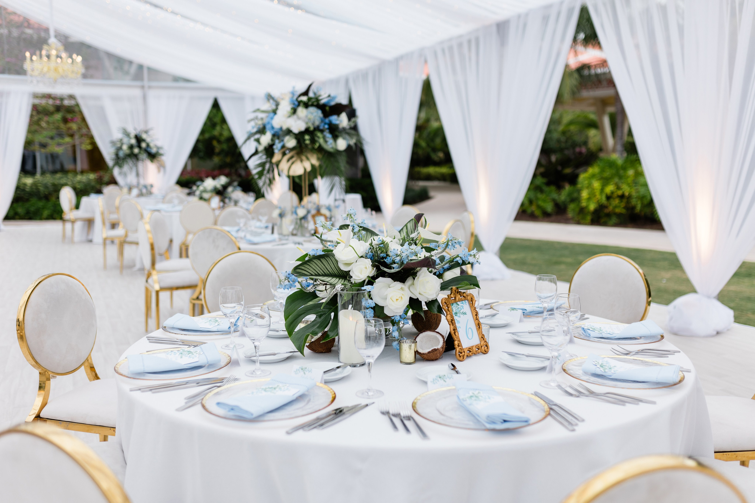 Diana and Filippe Bahamas Wedding. Family and Event photographer in Homestead and Miami areas of Florida