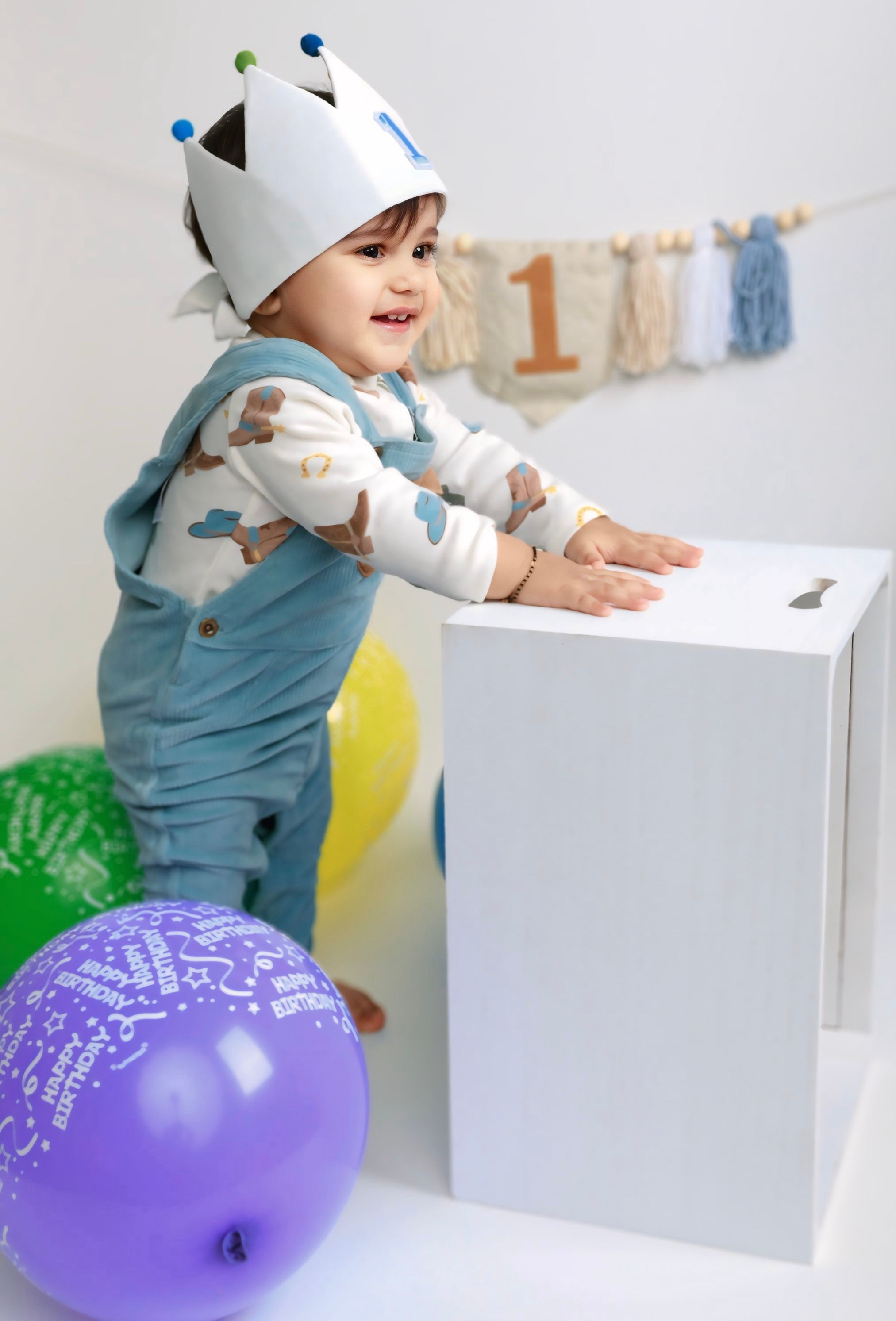 Cakesmash. AP Lens Photography | Newborn, Maternity, Milestone & Family Photographer Little Elm TX