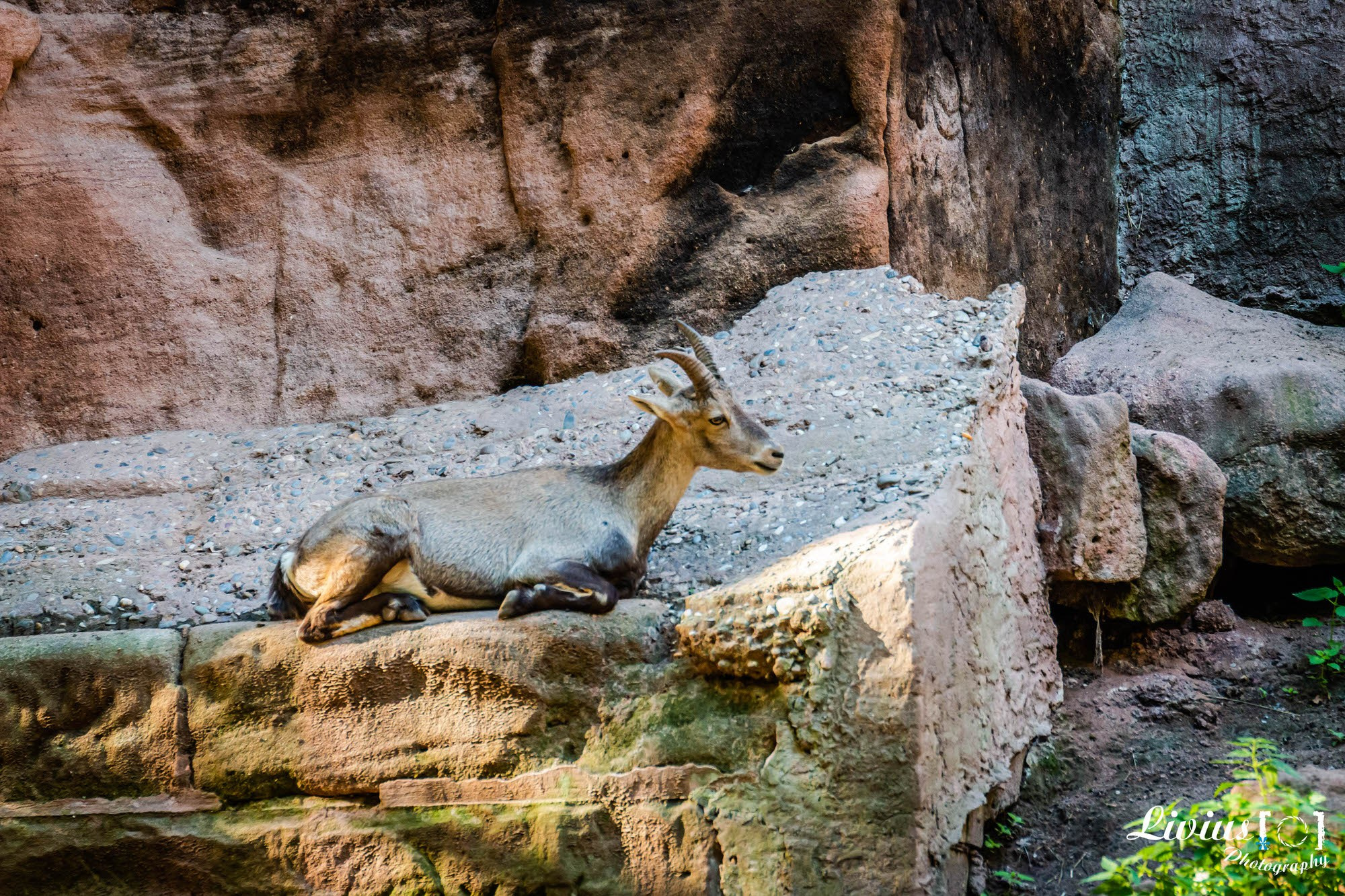 Tierpark Nürnberg. FOTO KREATIV
