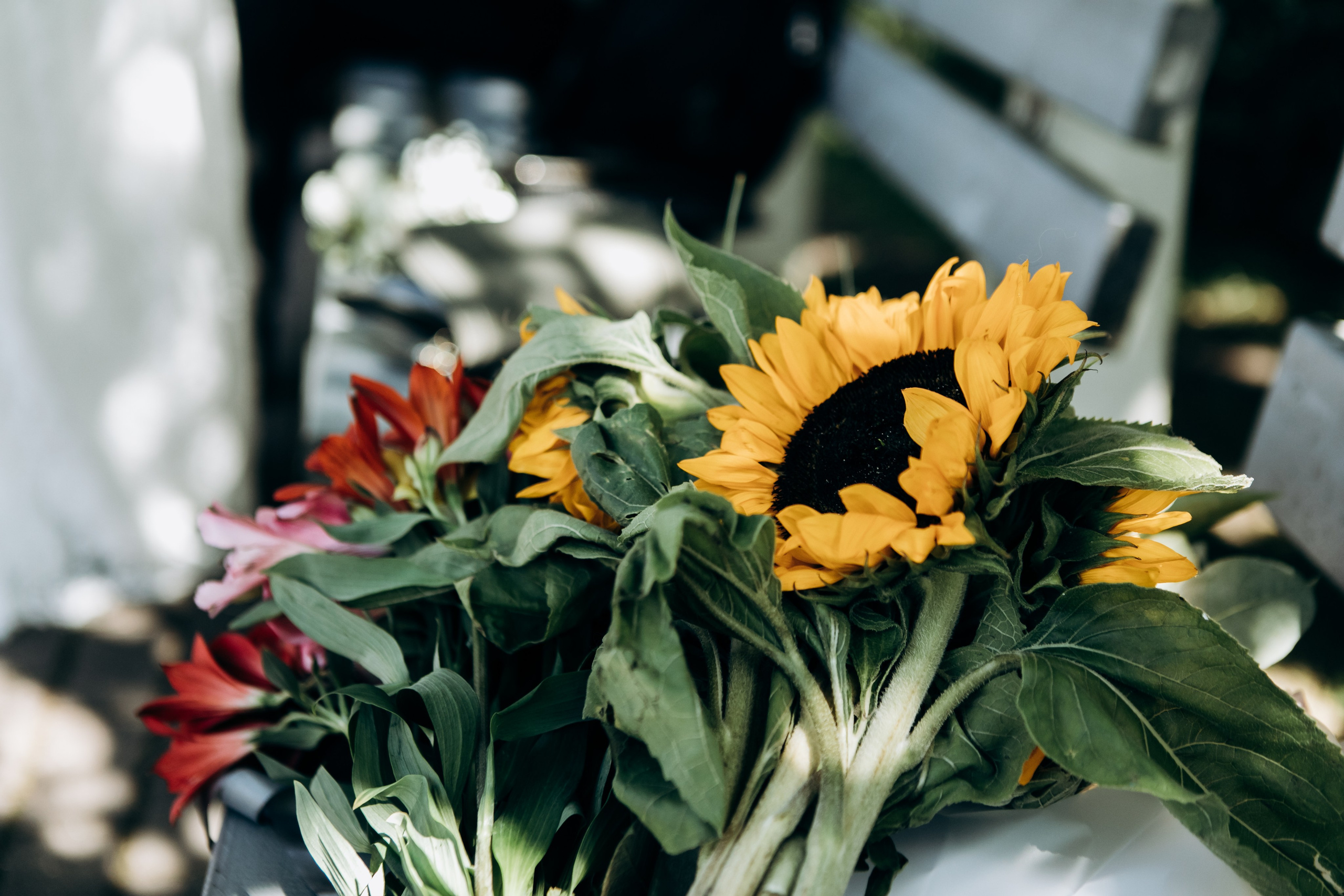 Wedding ceremony Agnese &Aleksandrs. Sandra Garanca Portrait and event photographer