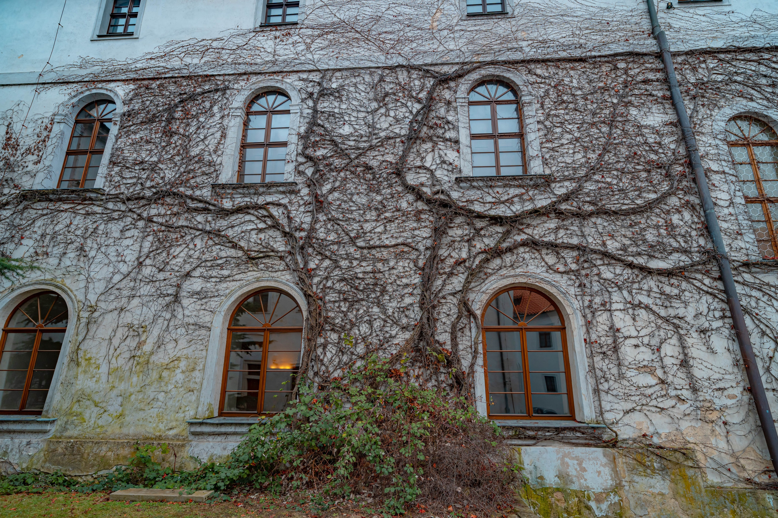 Praga, Febrero 2024. Alba del Norte Studio